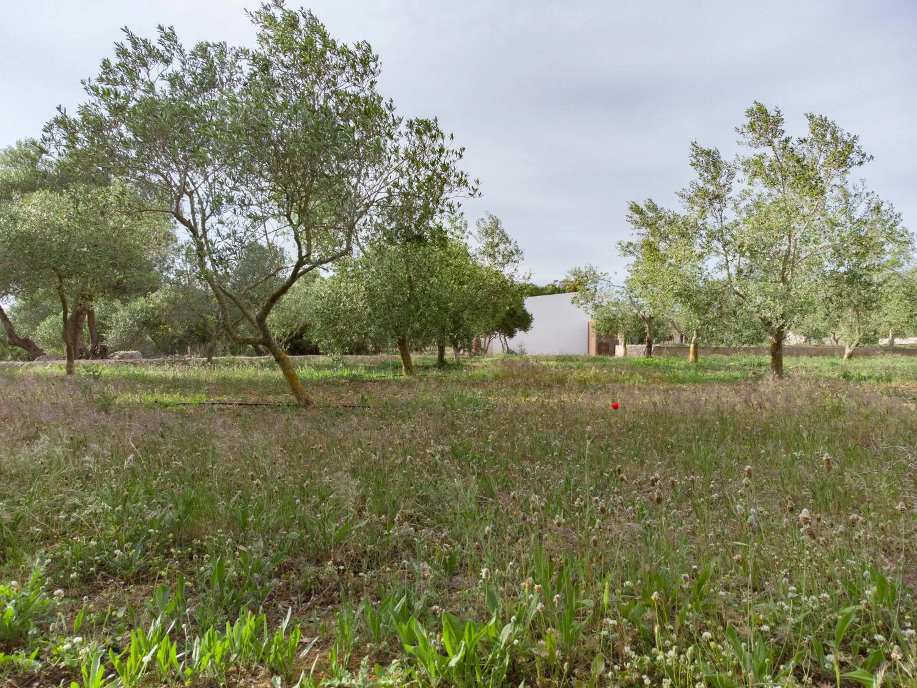 Natural landscape in Agroturismo Malbuger Nou Menorca -Adults only-