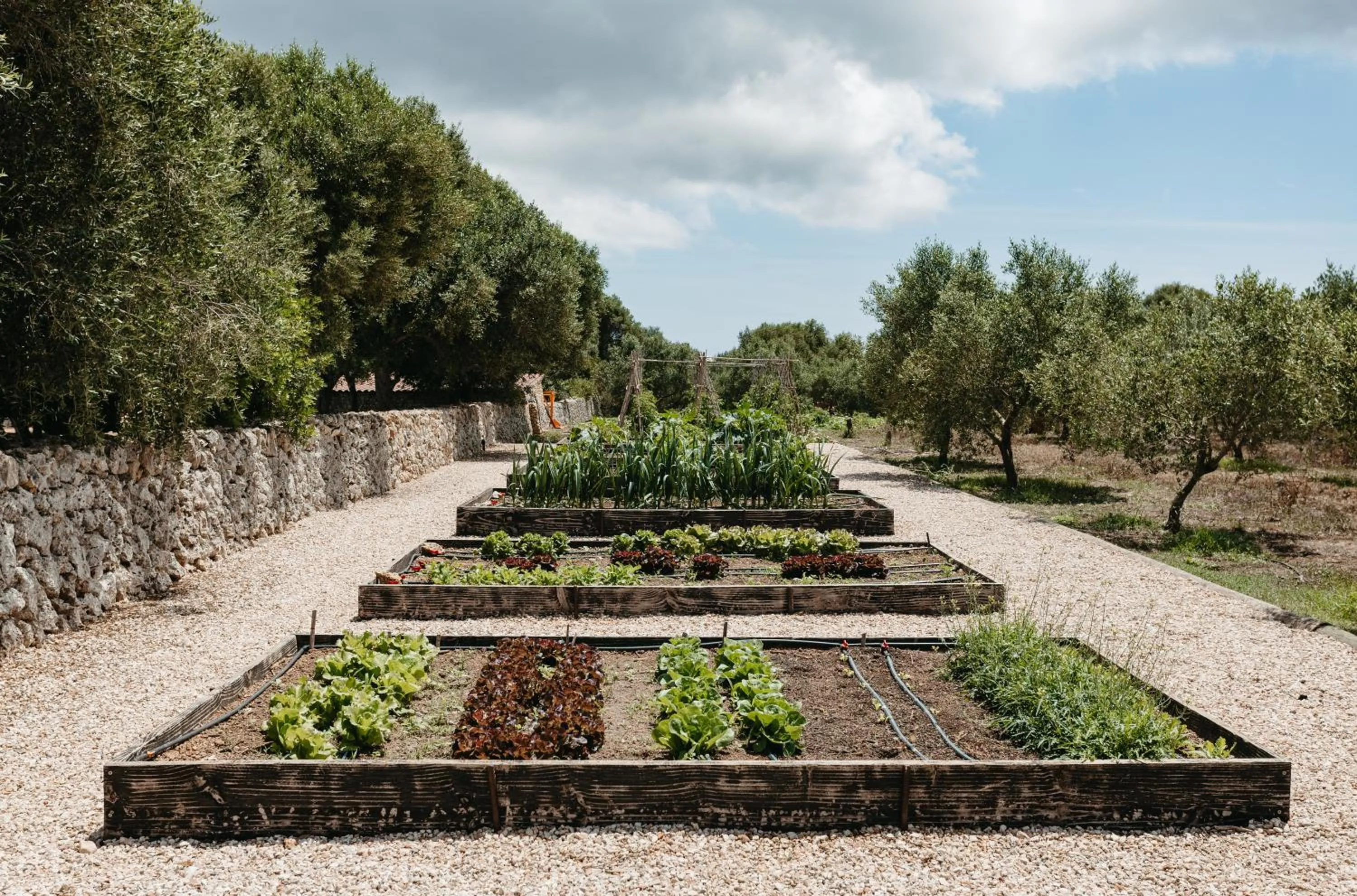Garden in Agroturismo Malbuger Nou Menorca -Adults only-