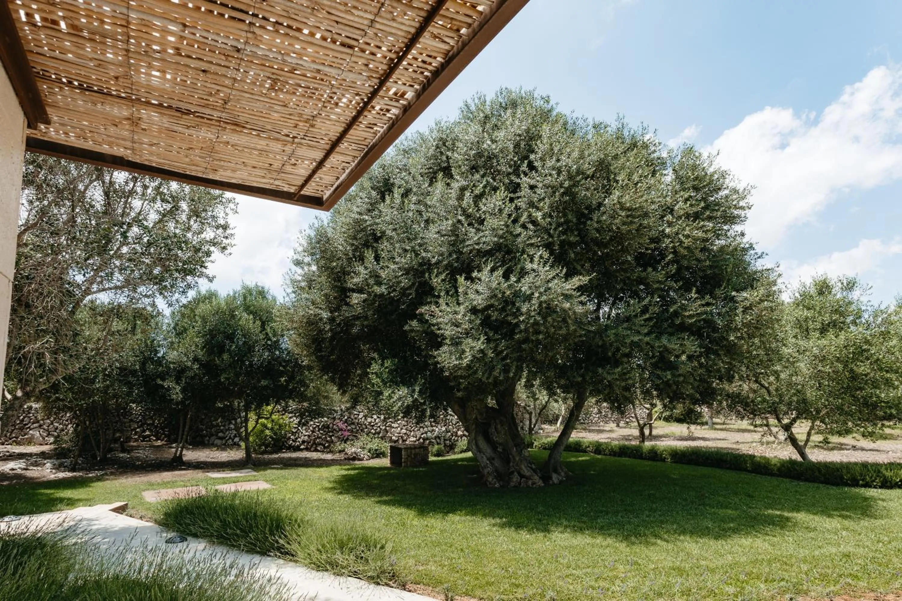 Garden in Agroturismo Malbuger Nou Menorca -Adults only-