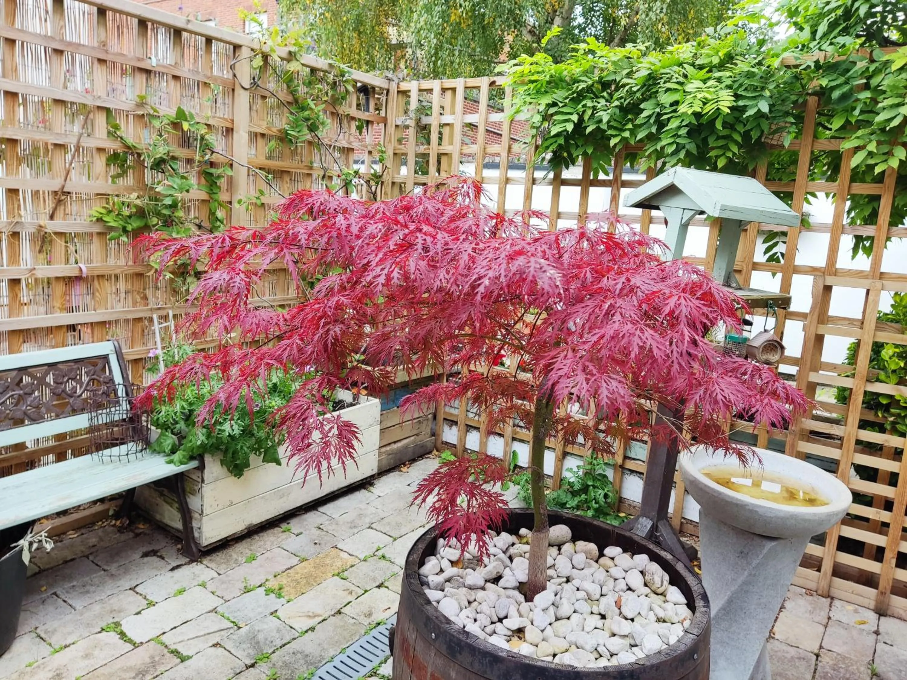 Garden in Self-Contained Holiday Accommodation in the Heart of Easingwold with Parking