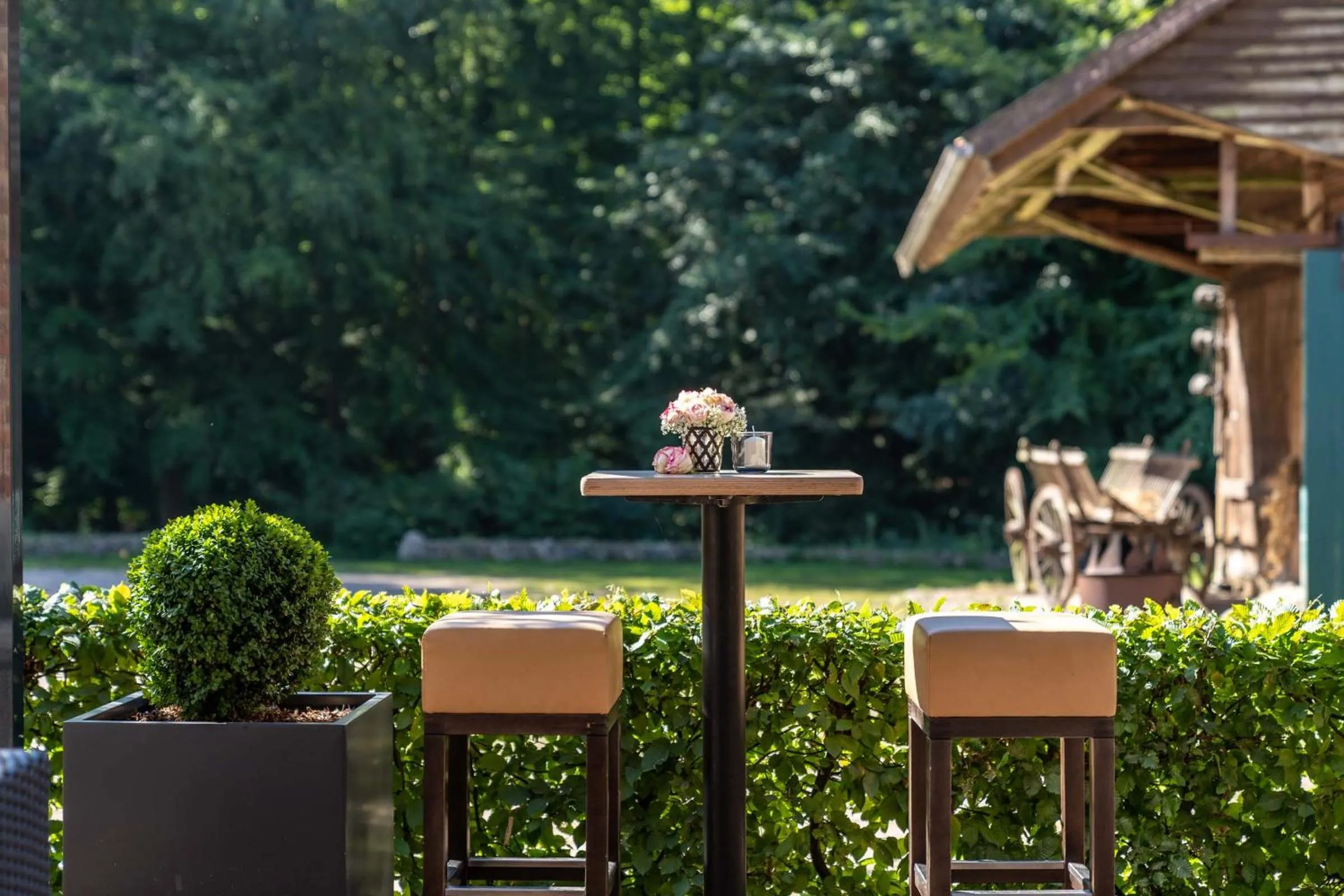 Patio in Hotel zur Kloster-Mühle