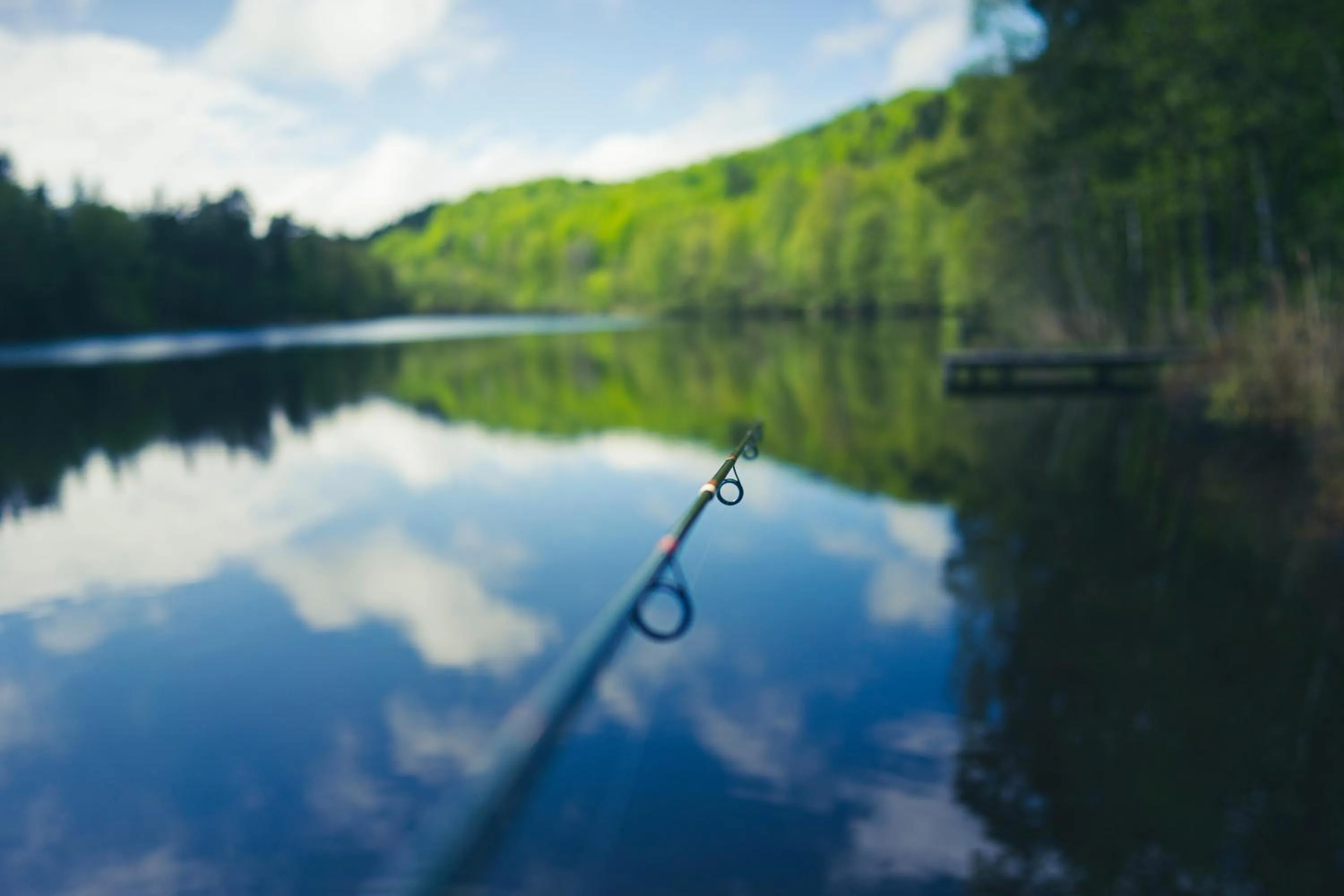 Natural landscape in Nature Shelter Hotel
