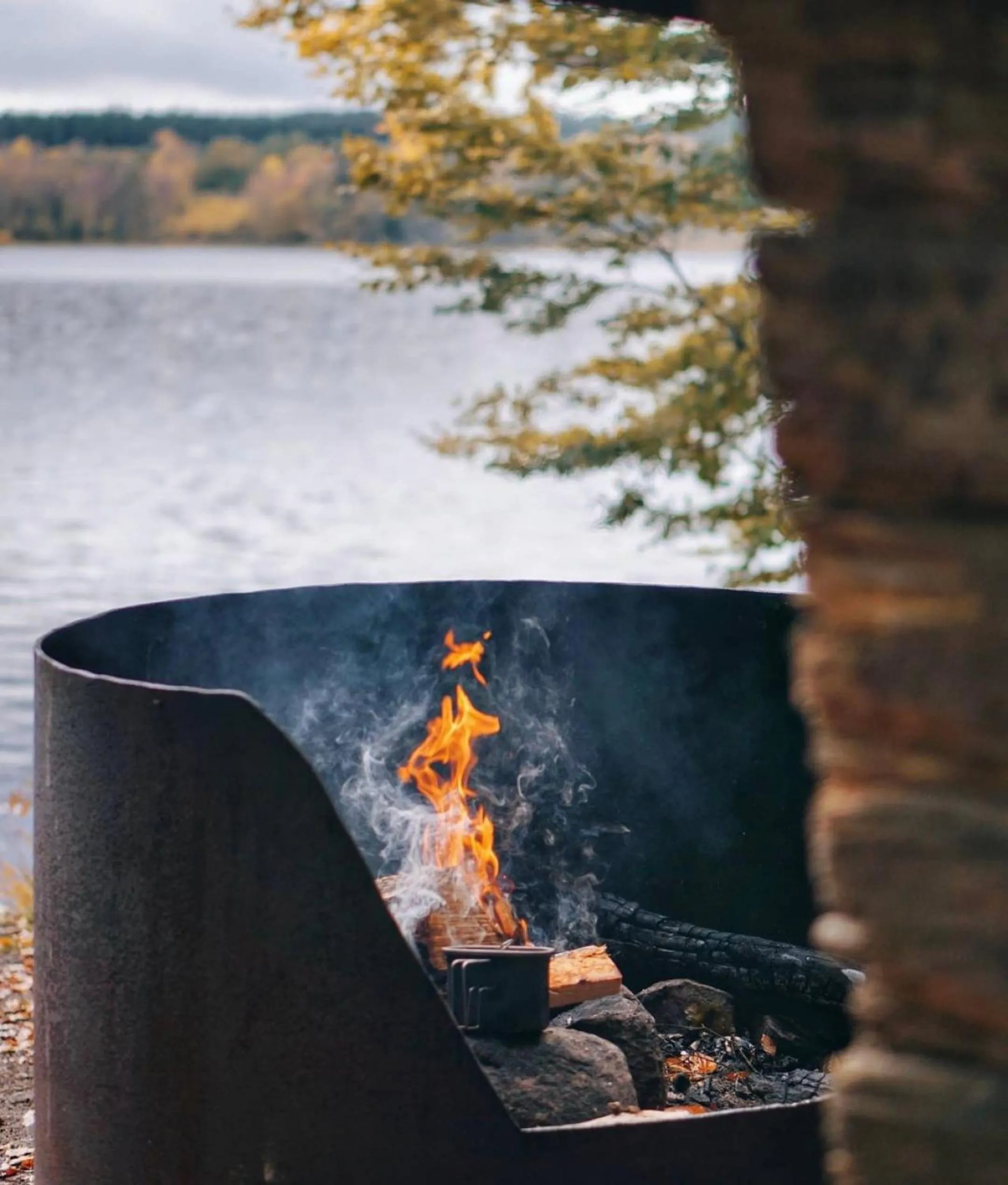 Food in Nature Shelter Hotel