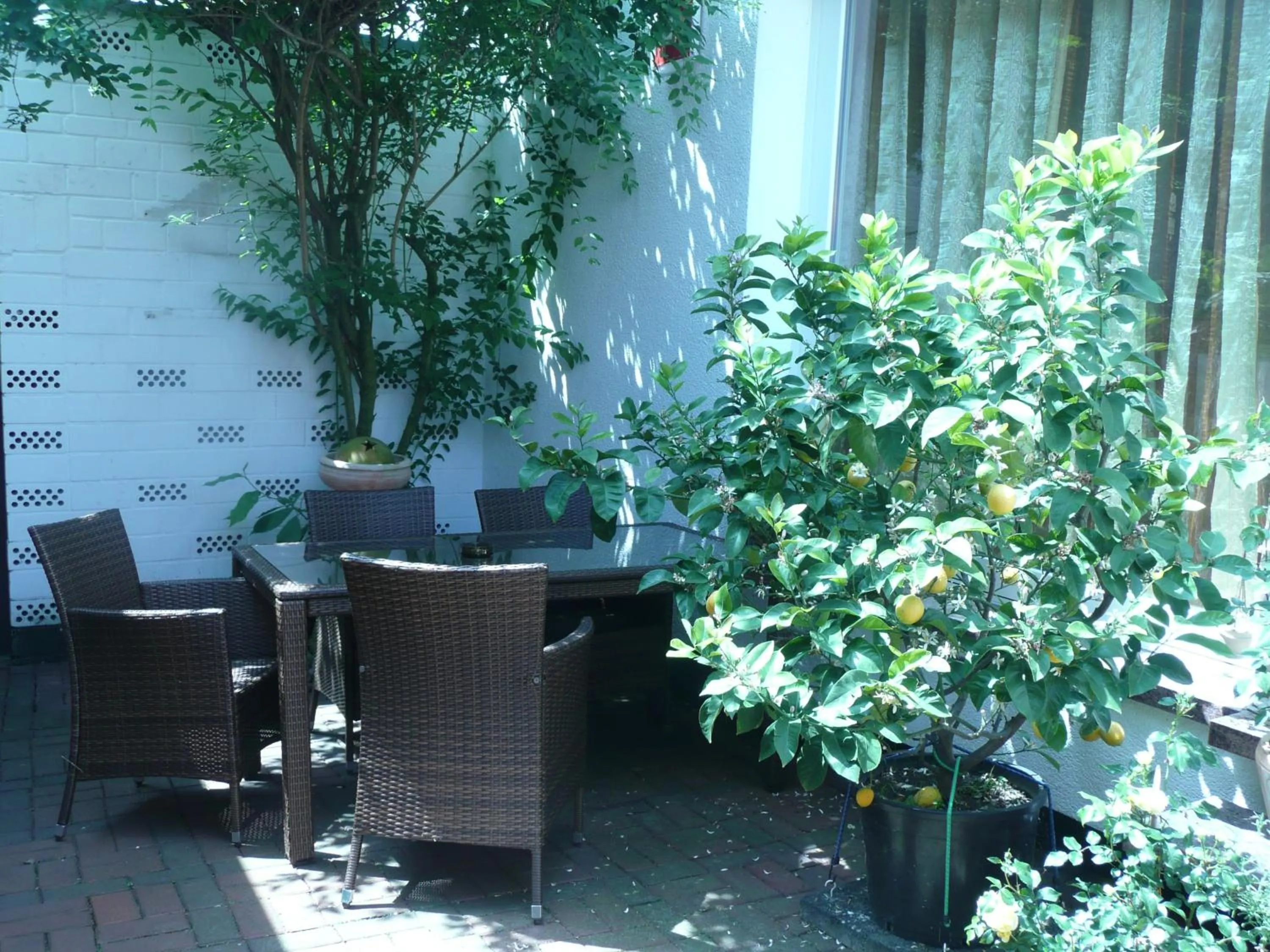 Garden in Landgasthaus Bonn