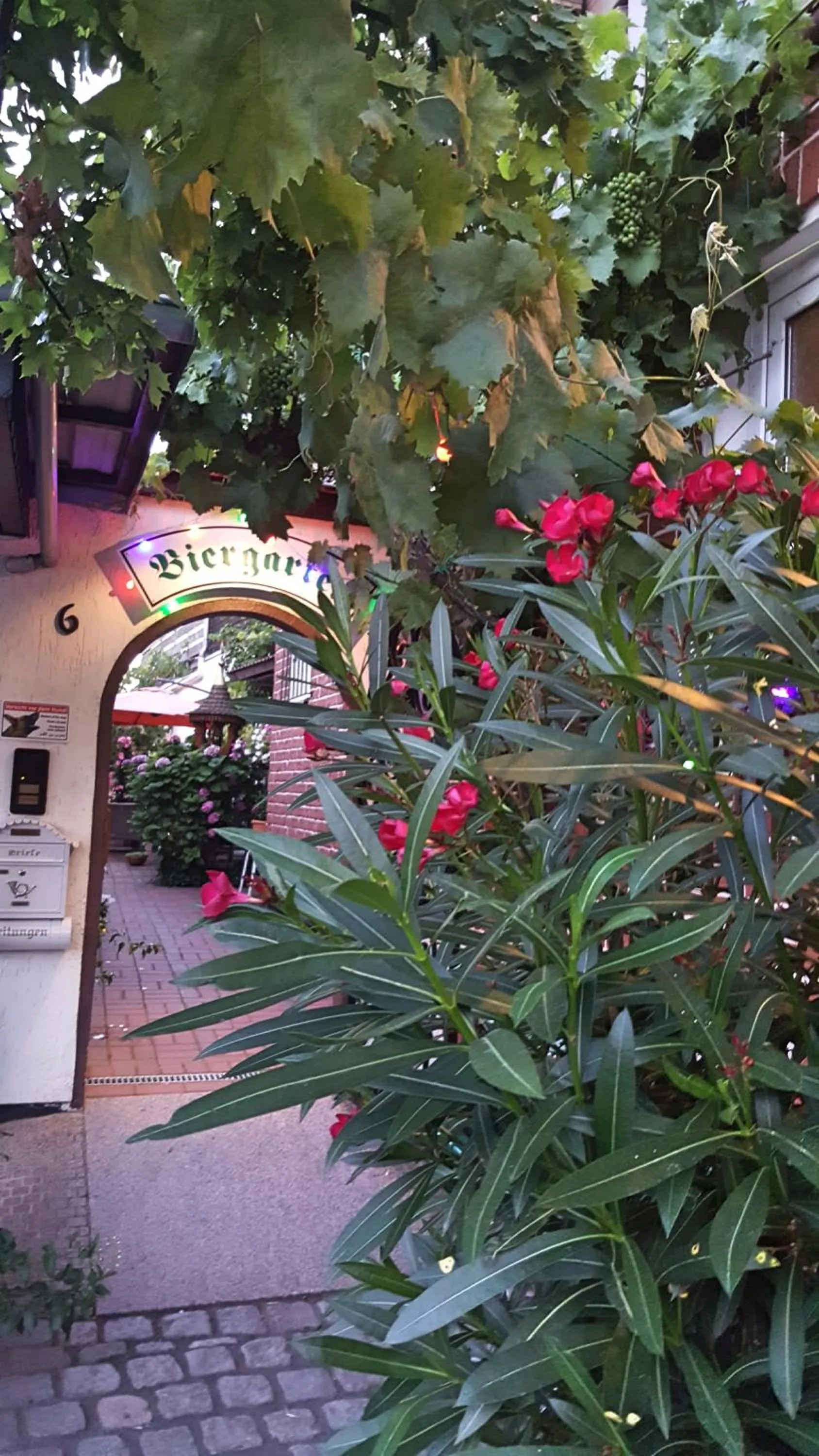 Garden in Landgasthaus Bonn