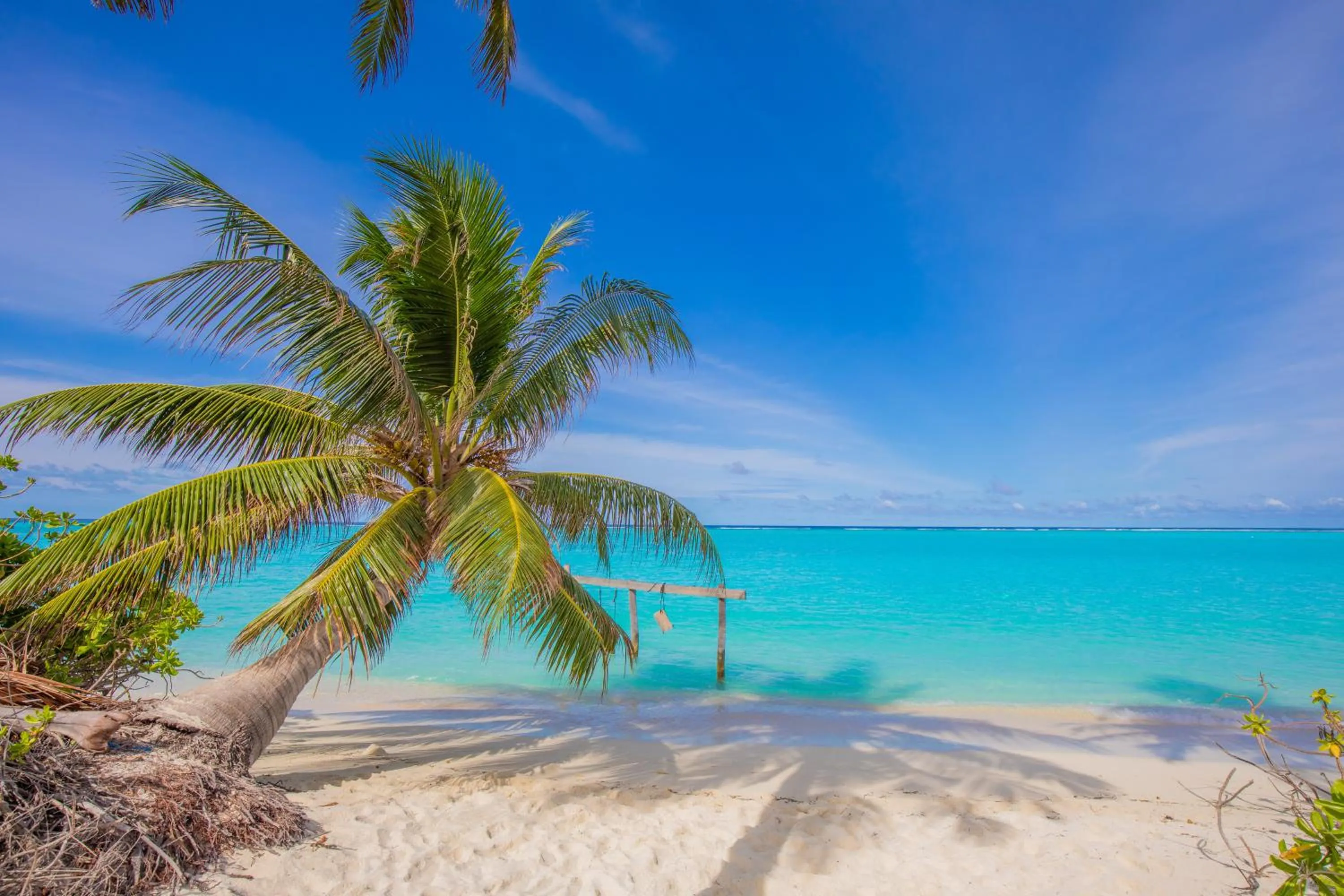 Natural landscape in Jeym Lodge