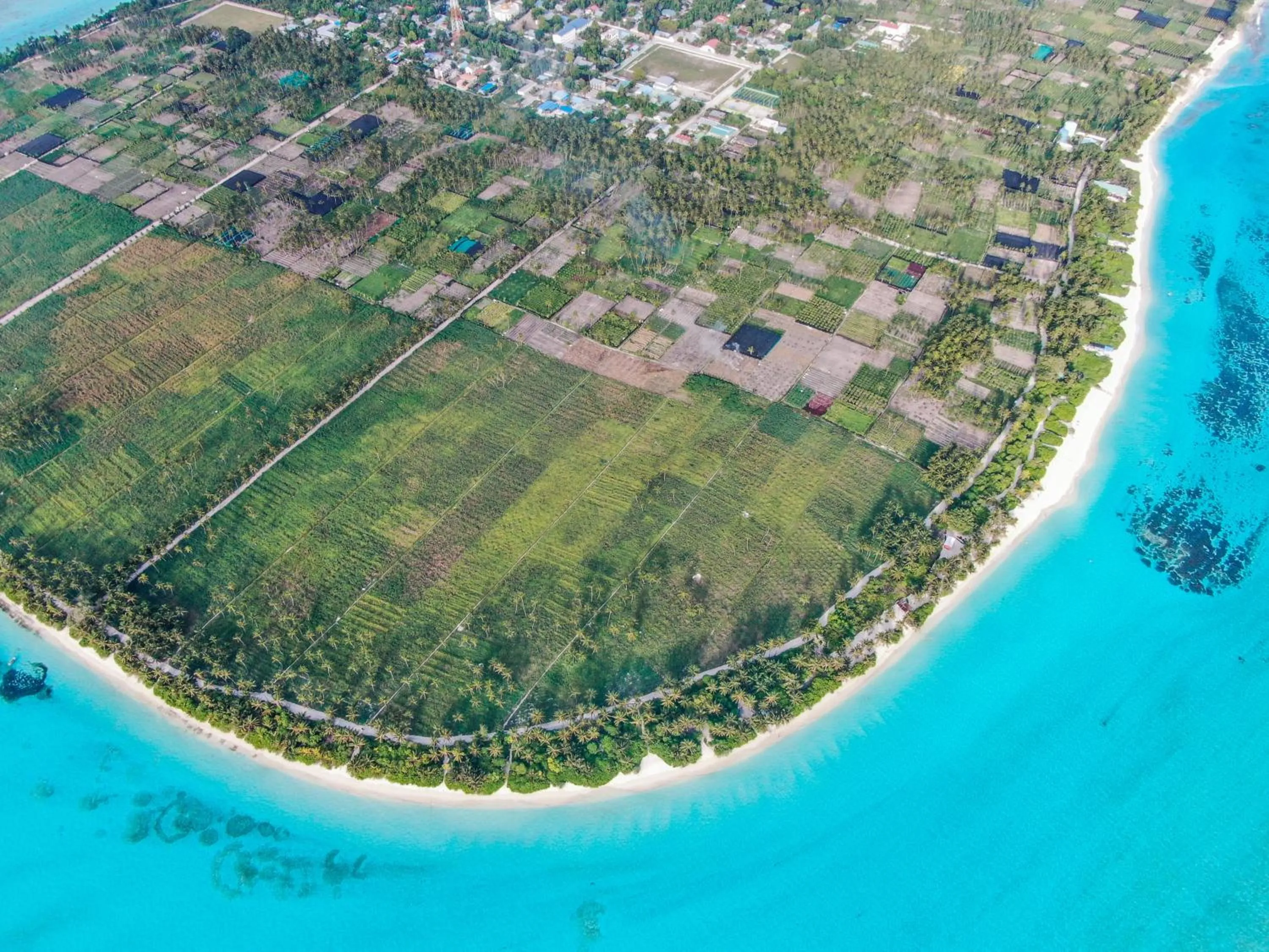 Bird's eye view in Jeym Lodge