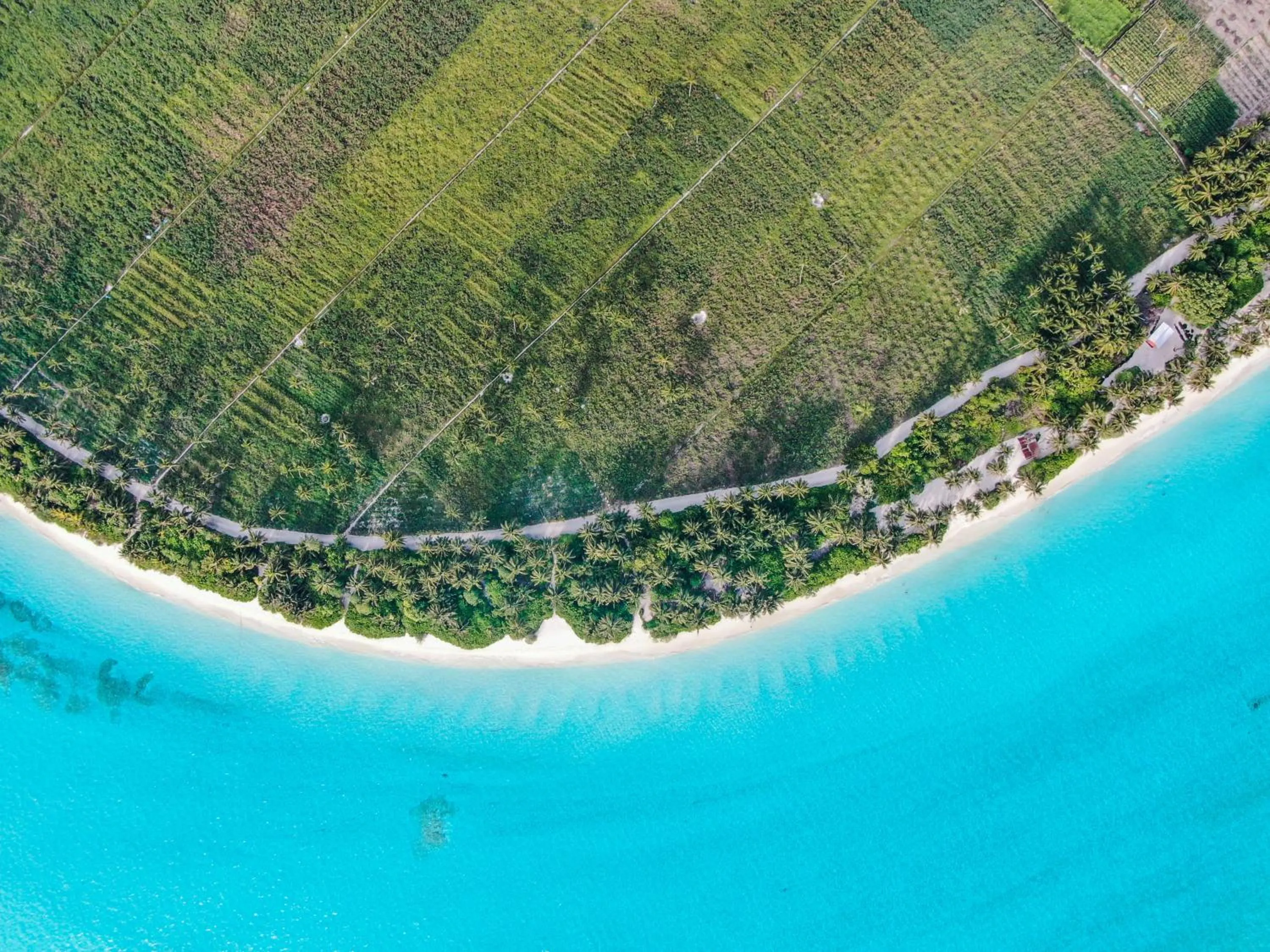 Bird's eye view in Jeym Lodge