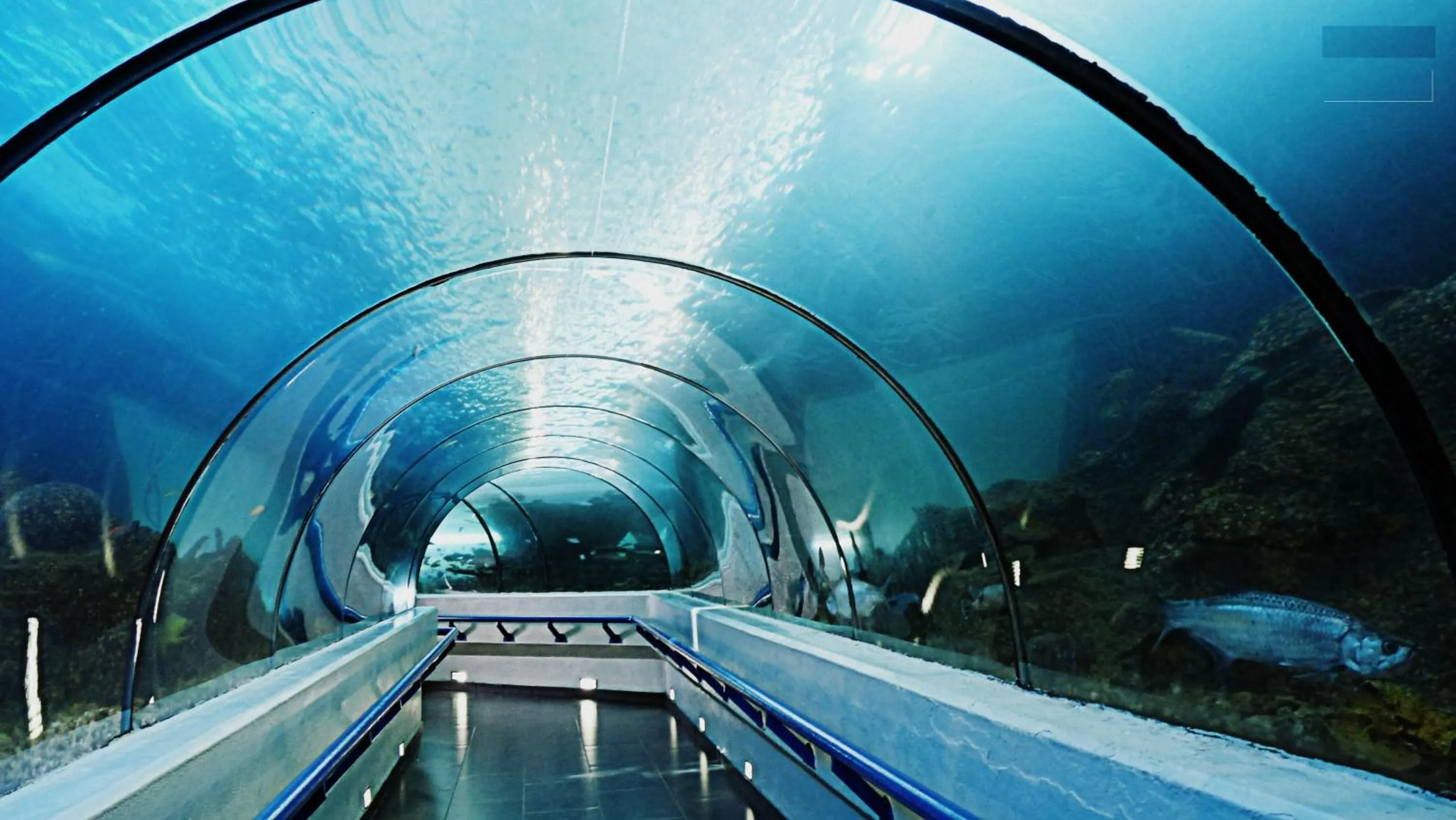 Tropical Island Apartahotel