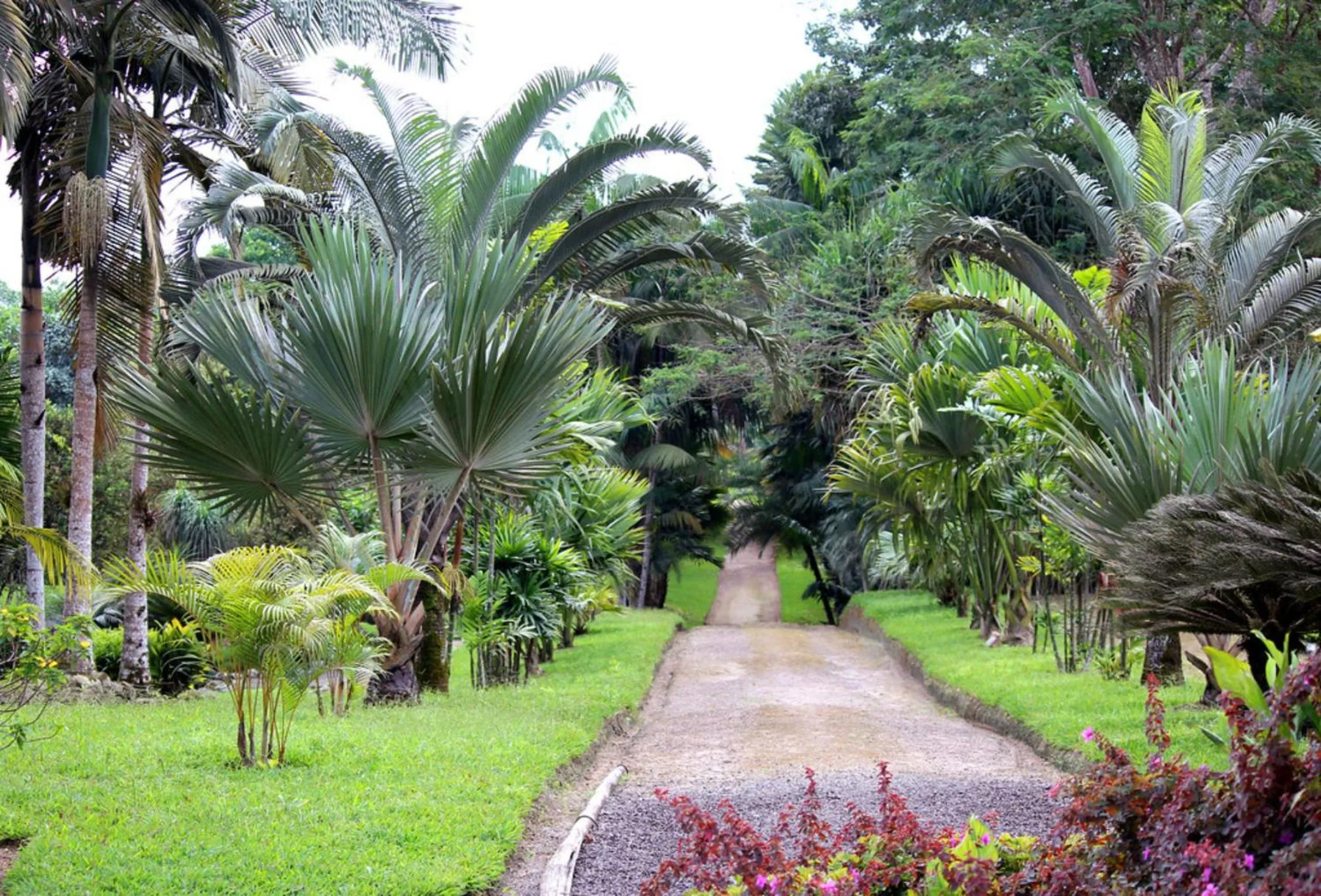 Natural landscape in Tropical Island Apartahotel