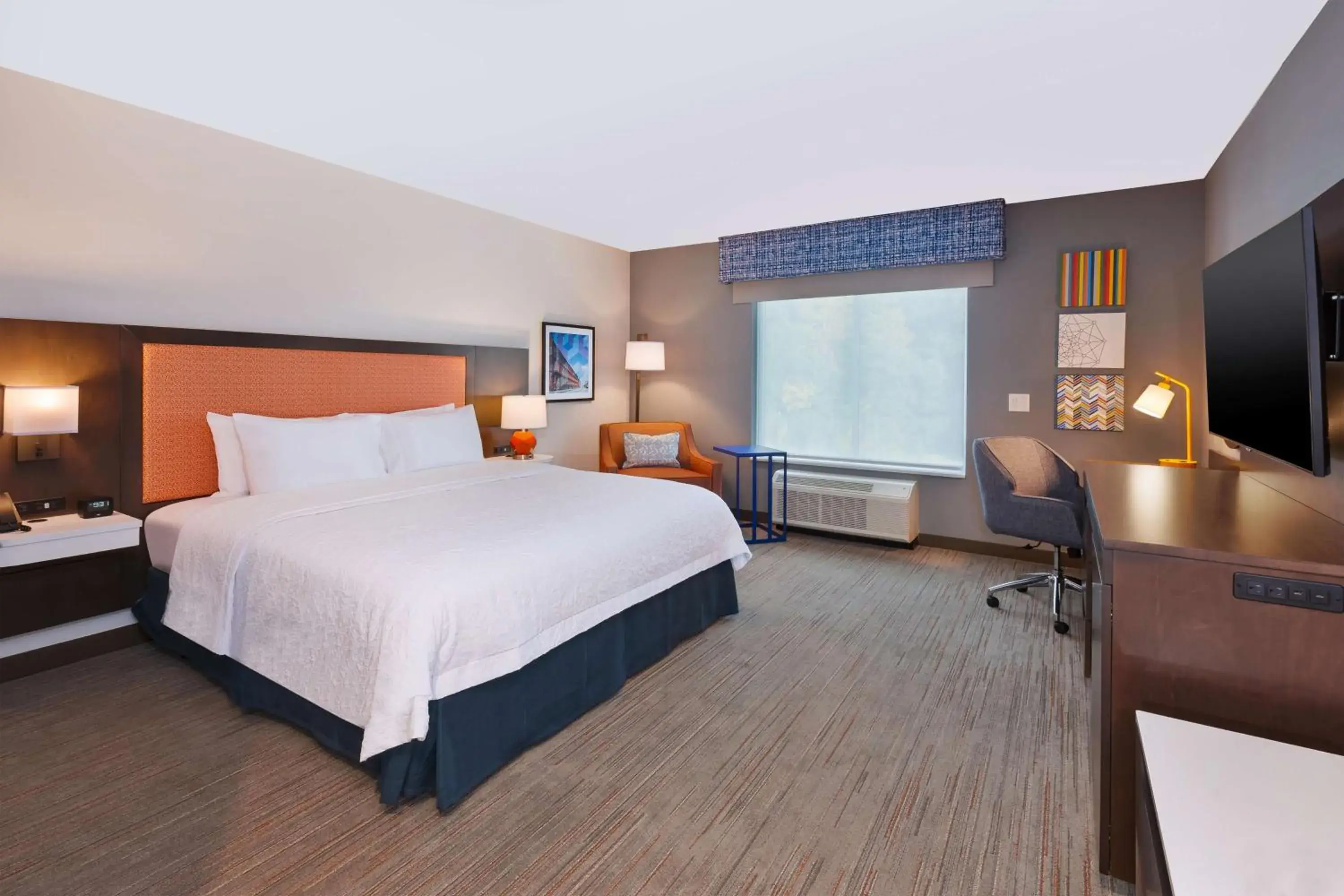 King Room in Hampton Inn Danville, Va King Room in Hampton Inn Danville, Va