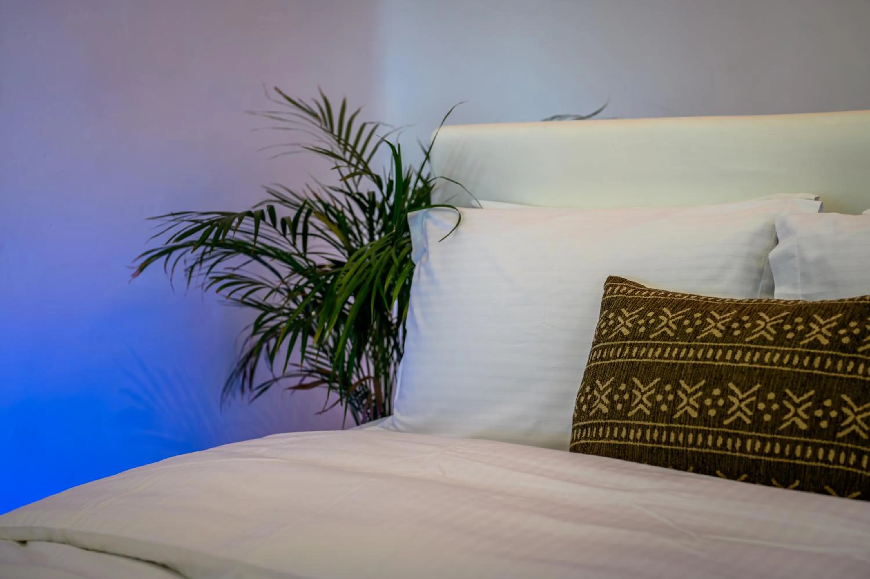 Bed in Canyon Santorini