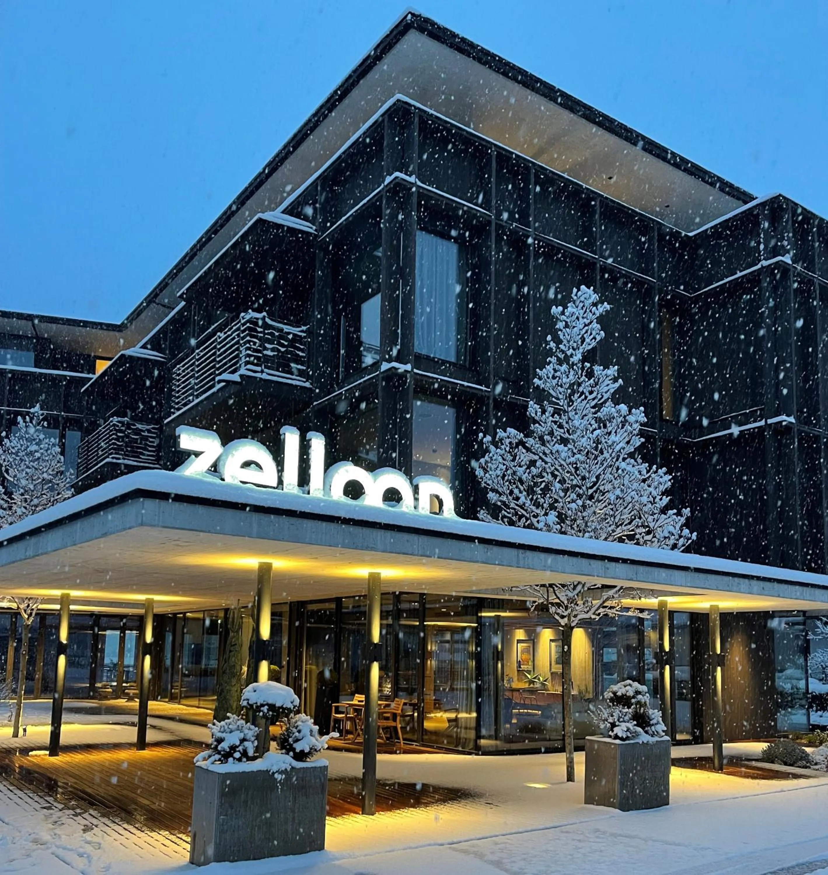 Property building in zelloon boutique hotel