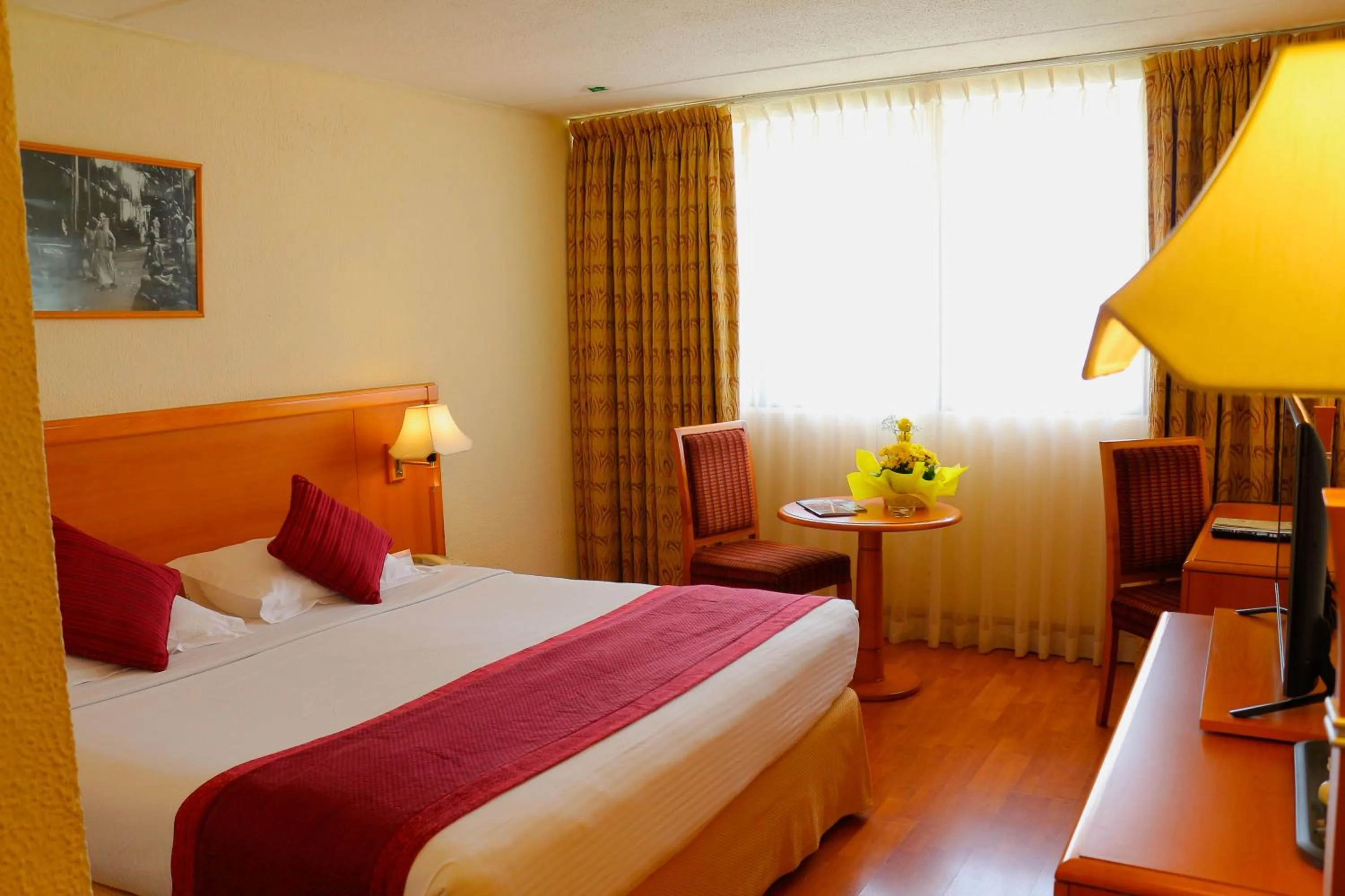 Bed in Lou'lou'a Beach Resort Sharjah