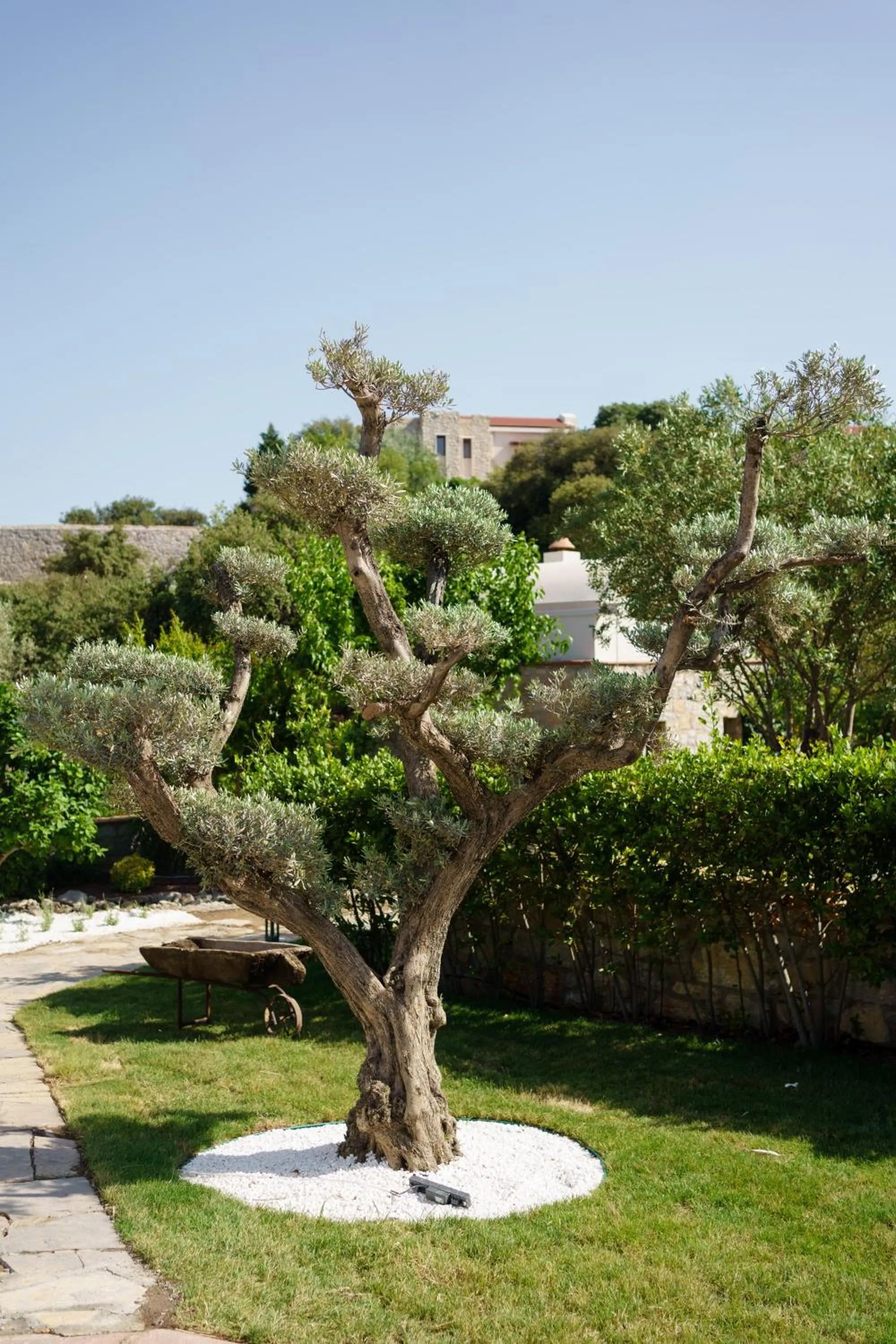 Garden in Odette Bodrum