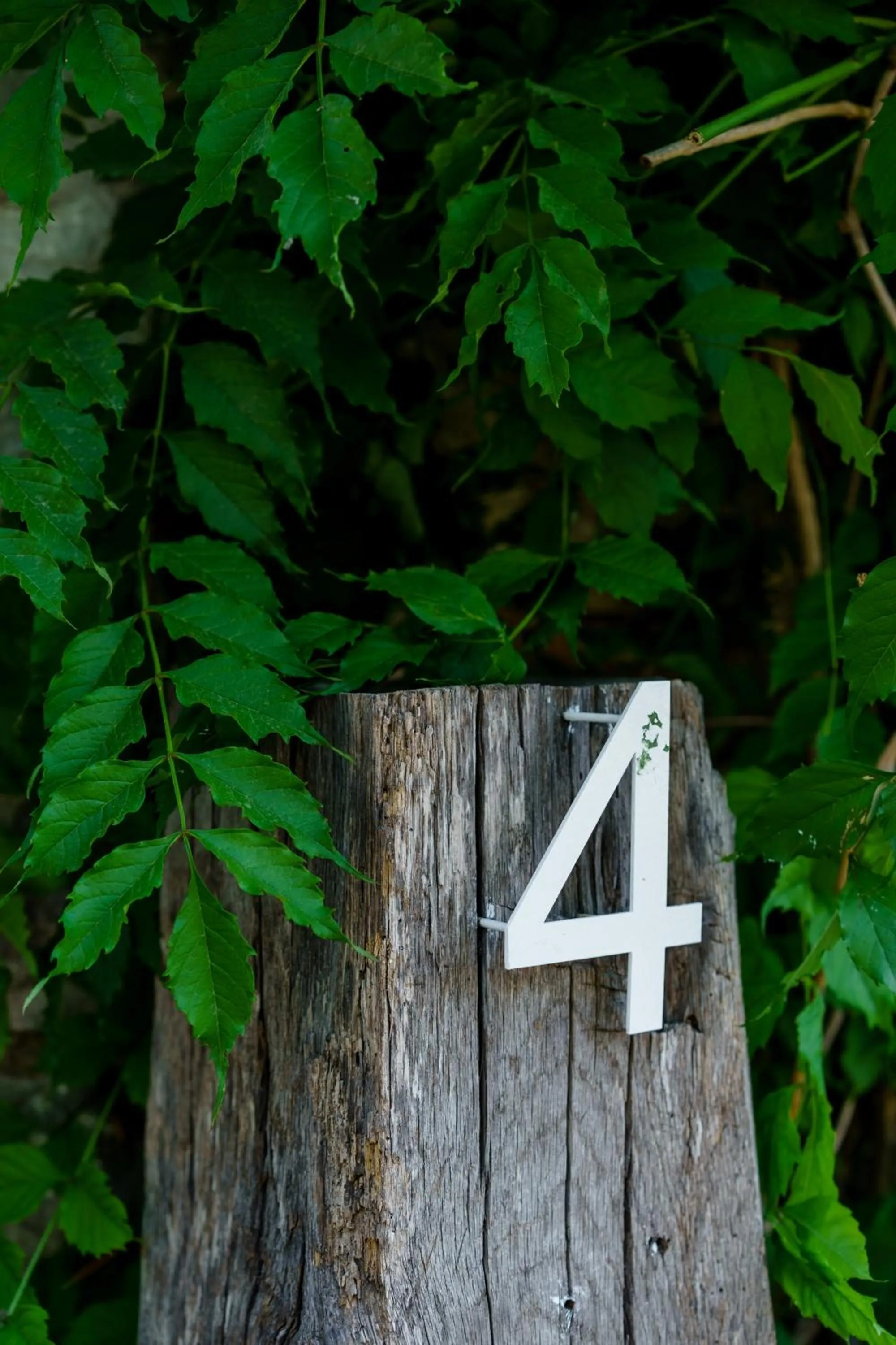 Garden in Odette Bodrum