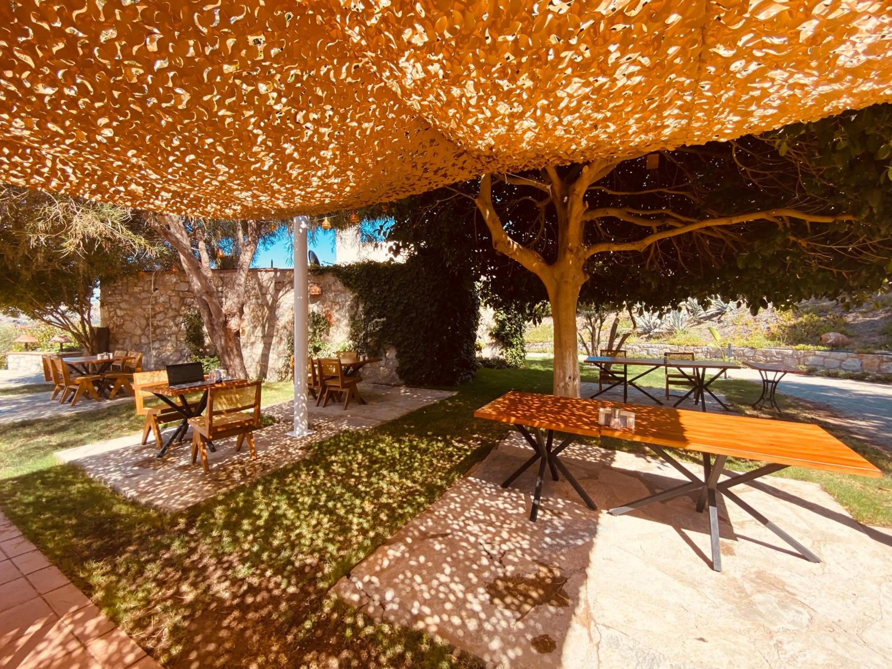 Restaurant/places to eat in Odette Bodrum