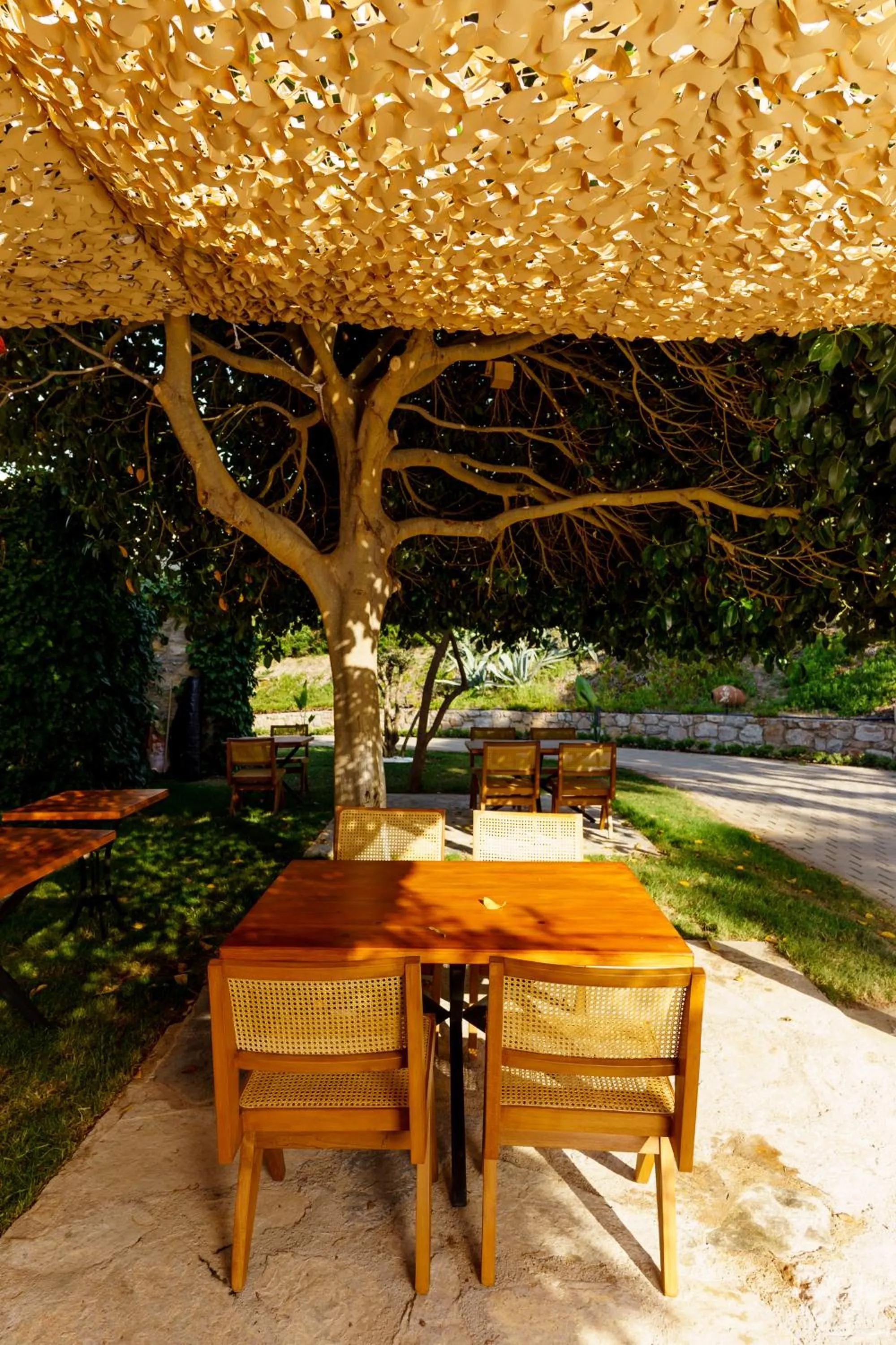 Restaurant/places to eat in Odette Bodrum