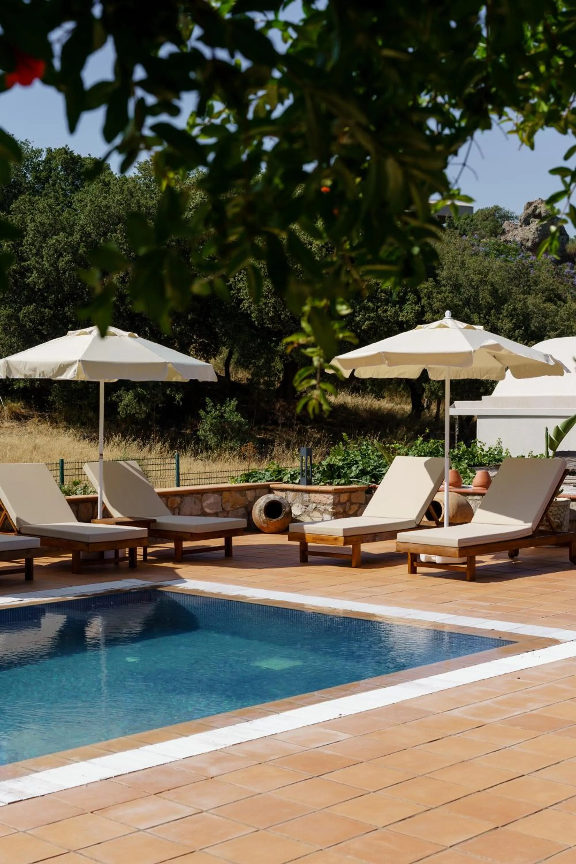 Swimming pool in Odette Bodrum