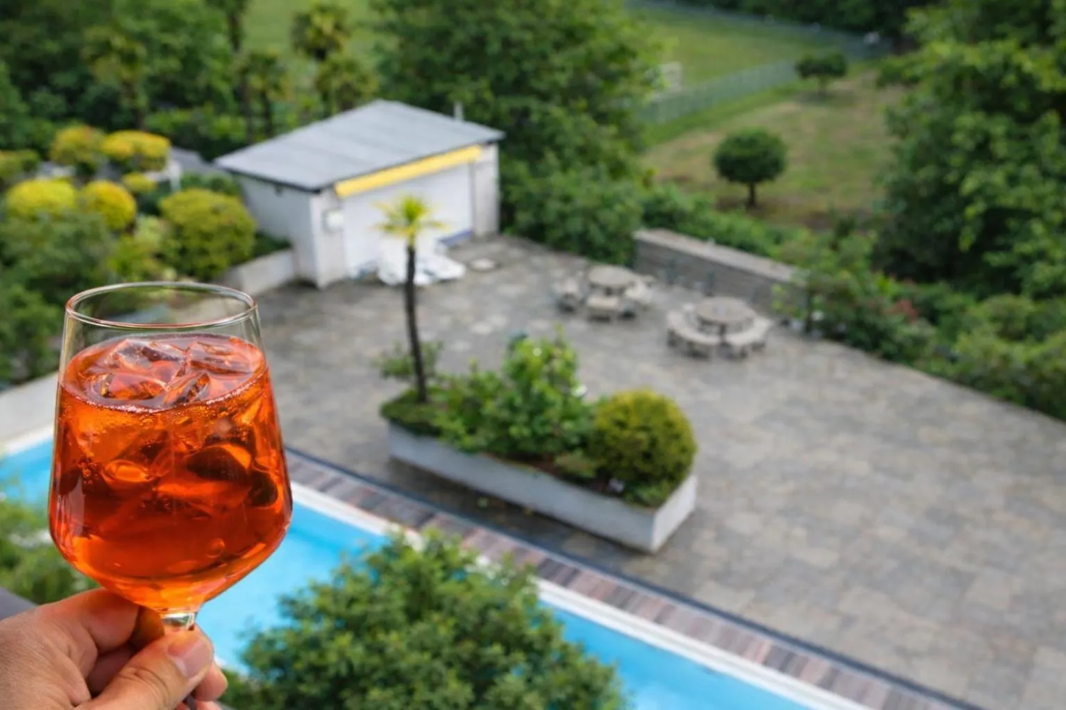 Garden in Hotel Nessi Locarno