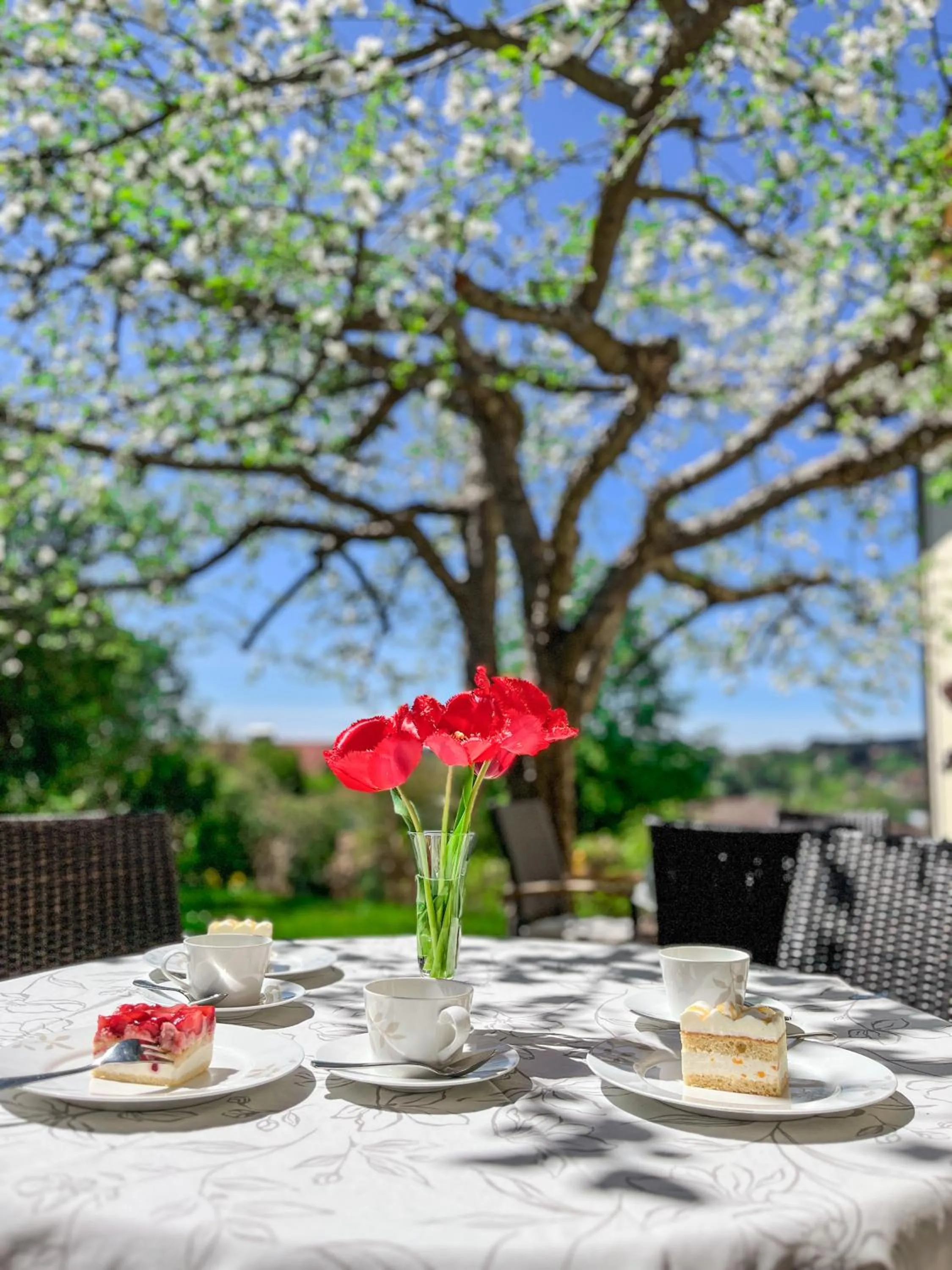 Garden view in Glashotel