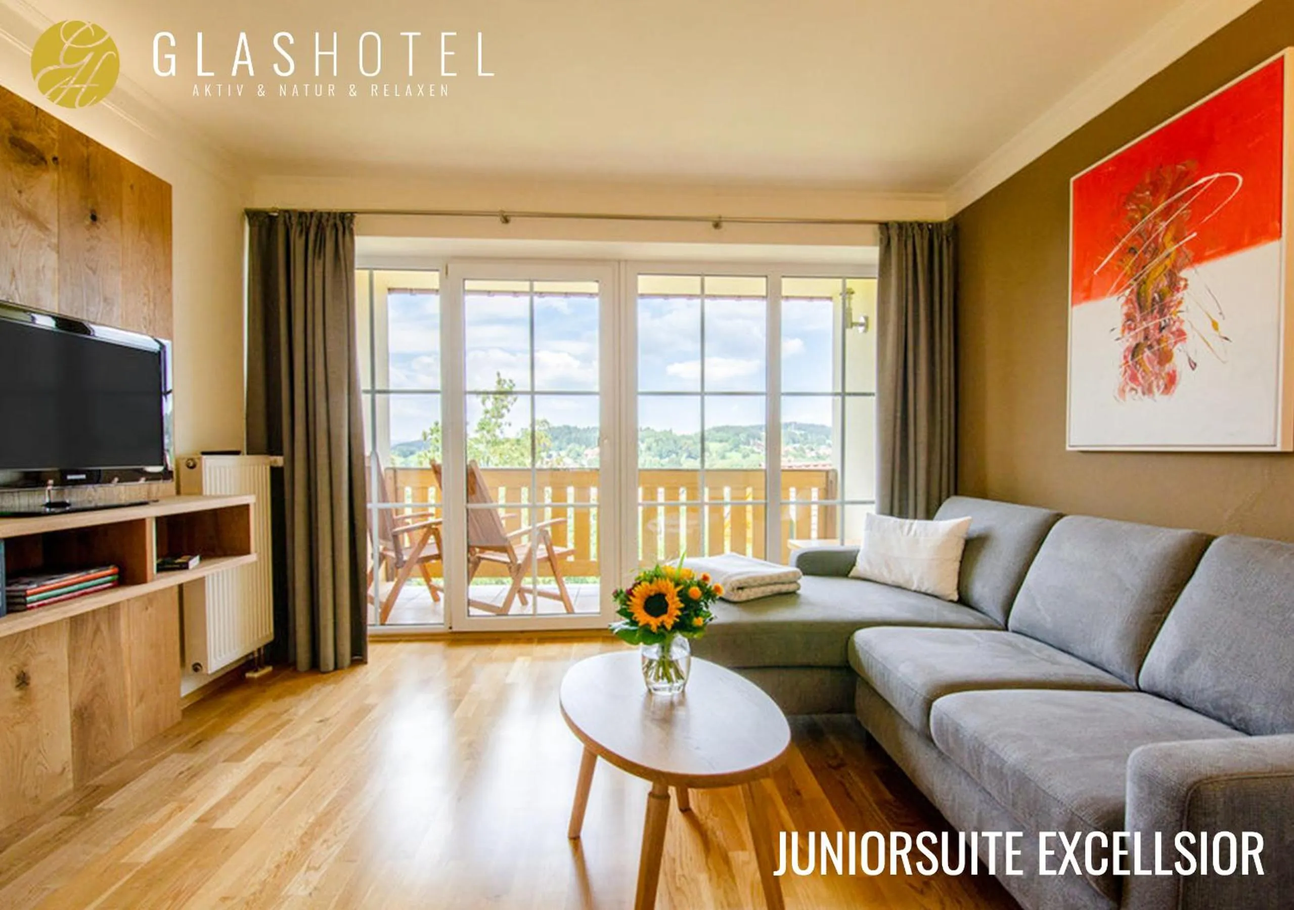 TV and multimedia in Glashotel