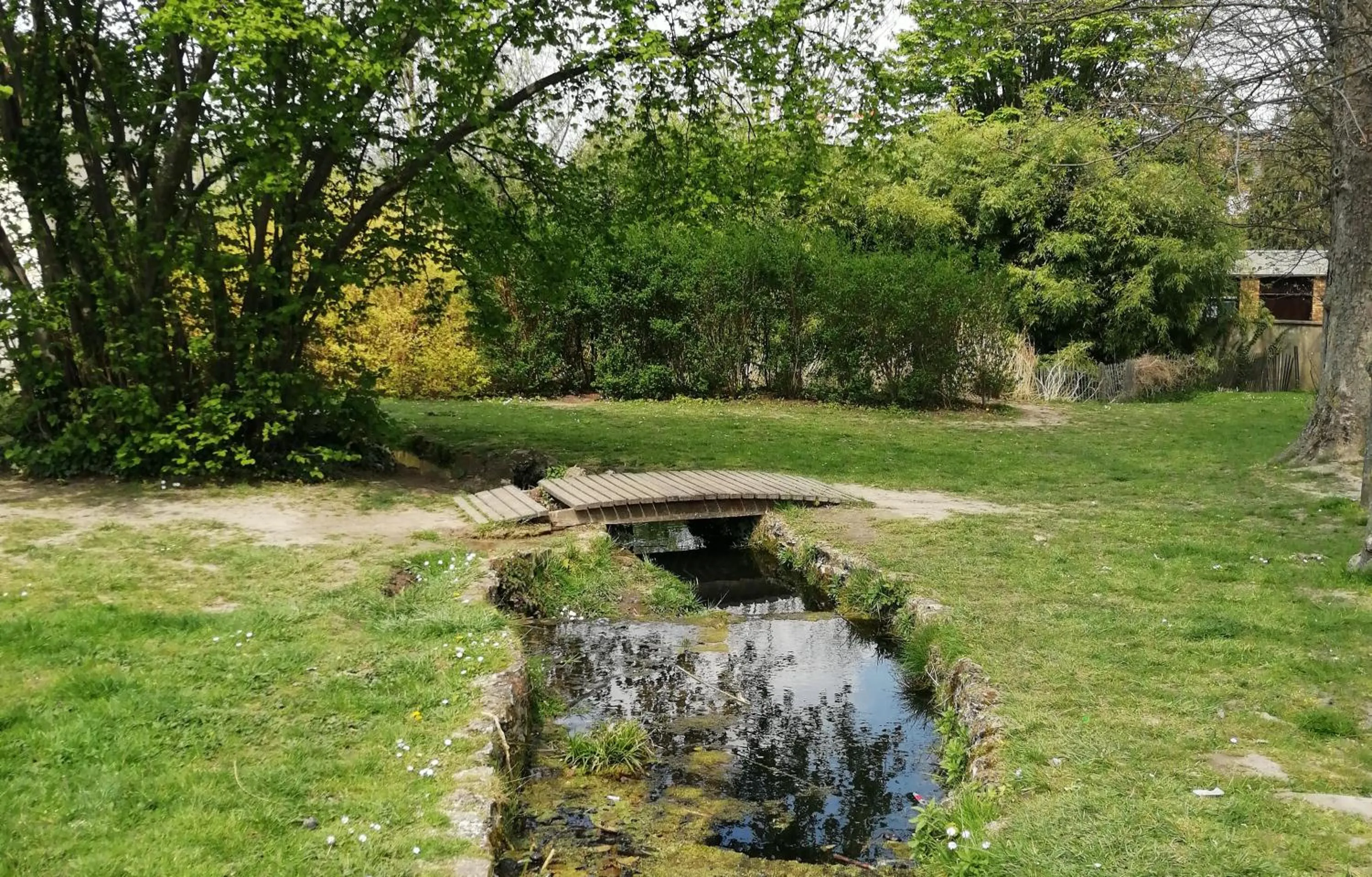 Natural landscape in Welcome Home