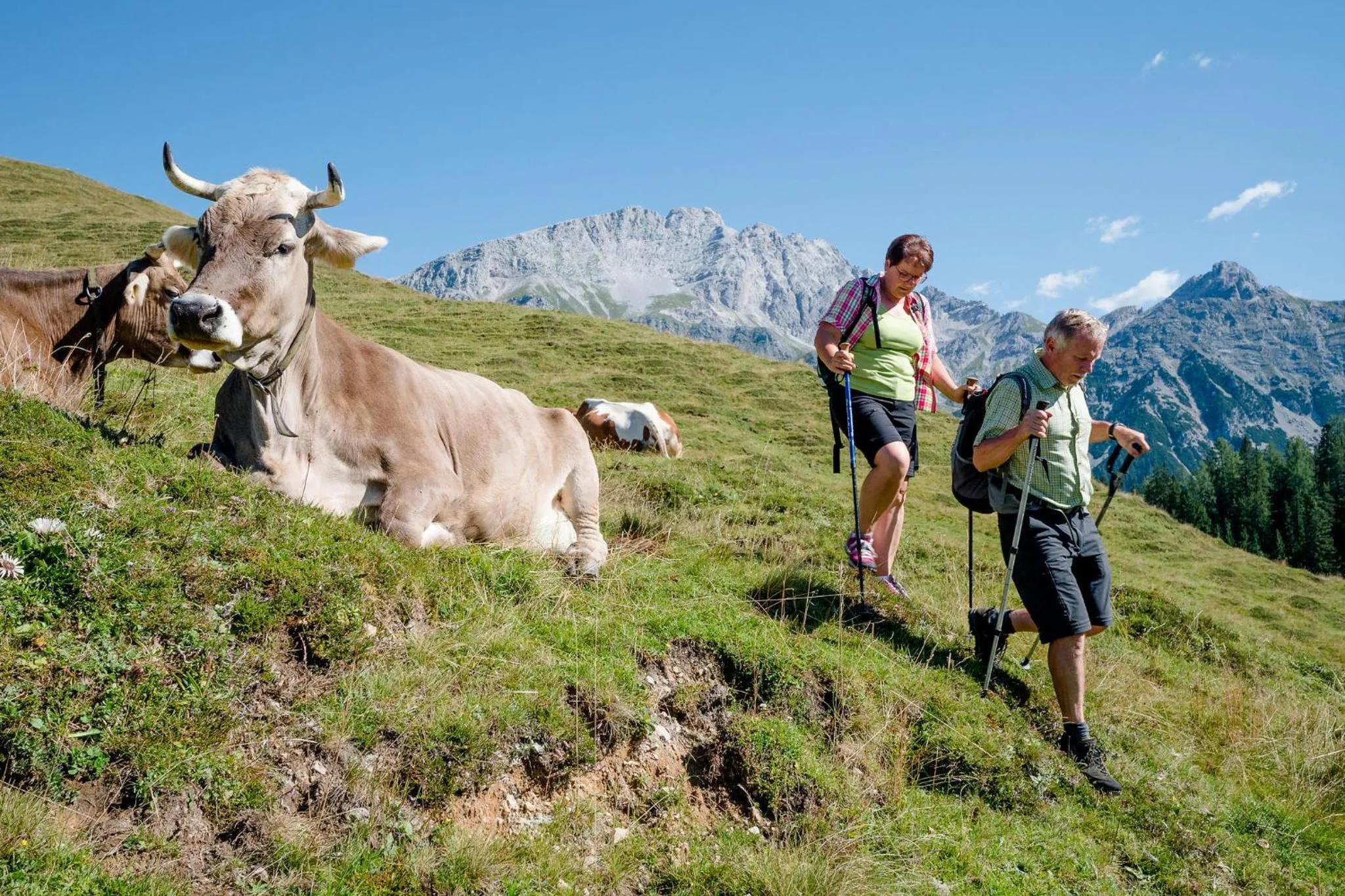 Summer in Hotel Vitaloase zu den drei Brüdern