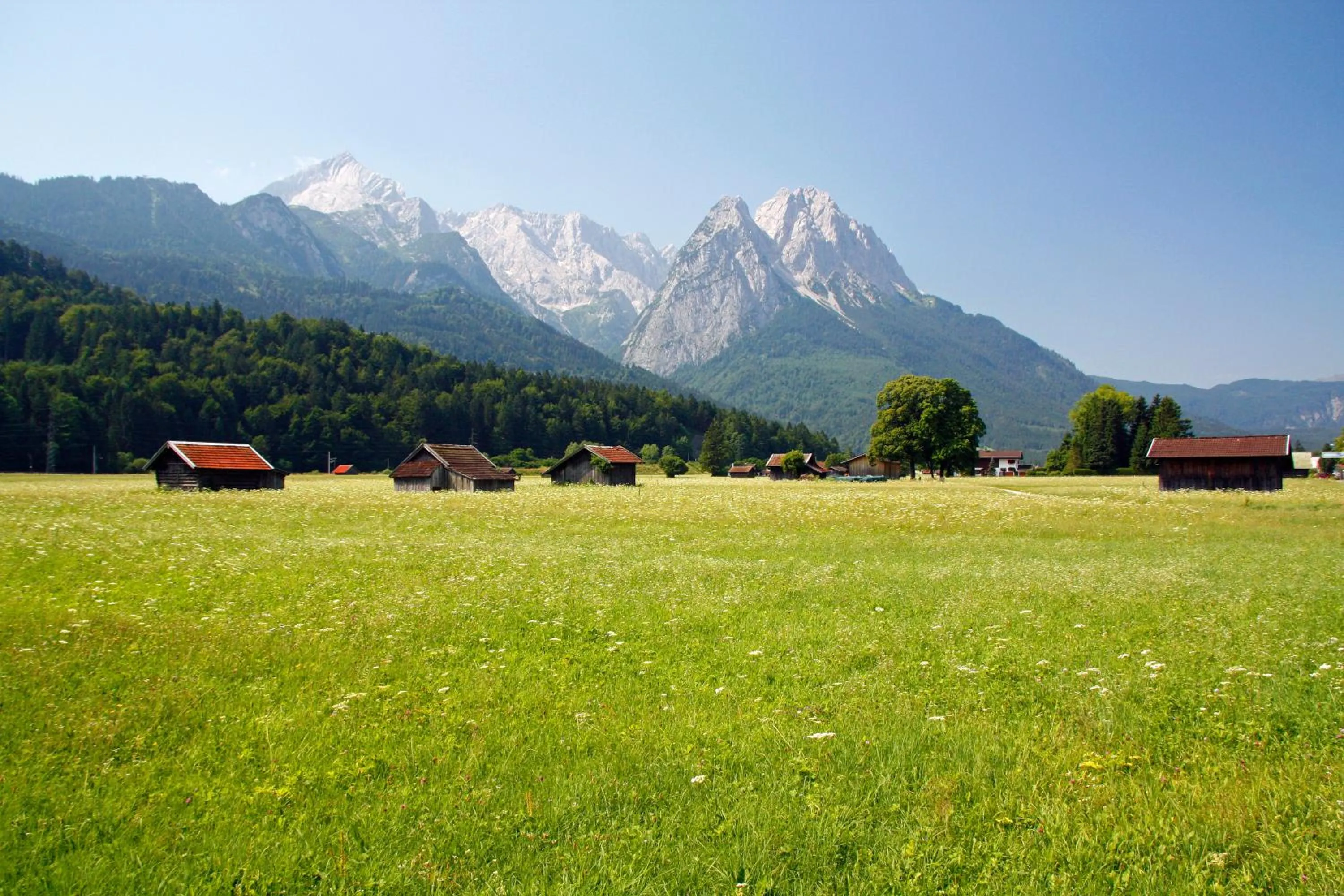 Area and facilities in Berghotel Hammersbach, Sure Hotel Collection by Best Western