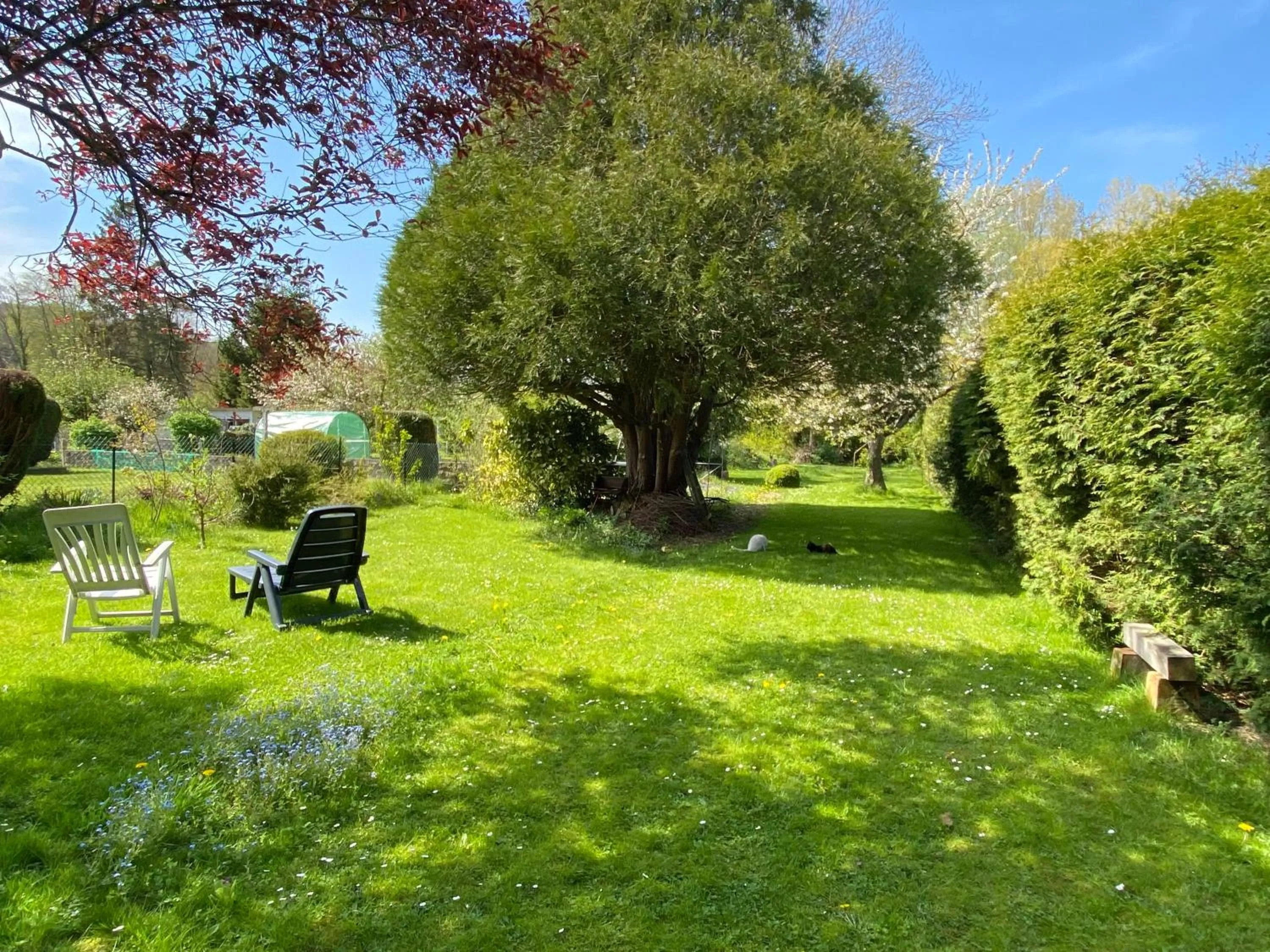 Garden in La Chambre Claire