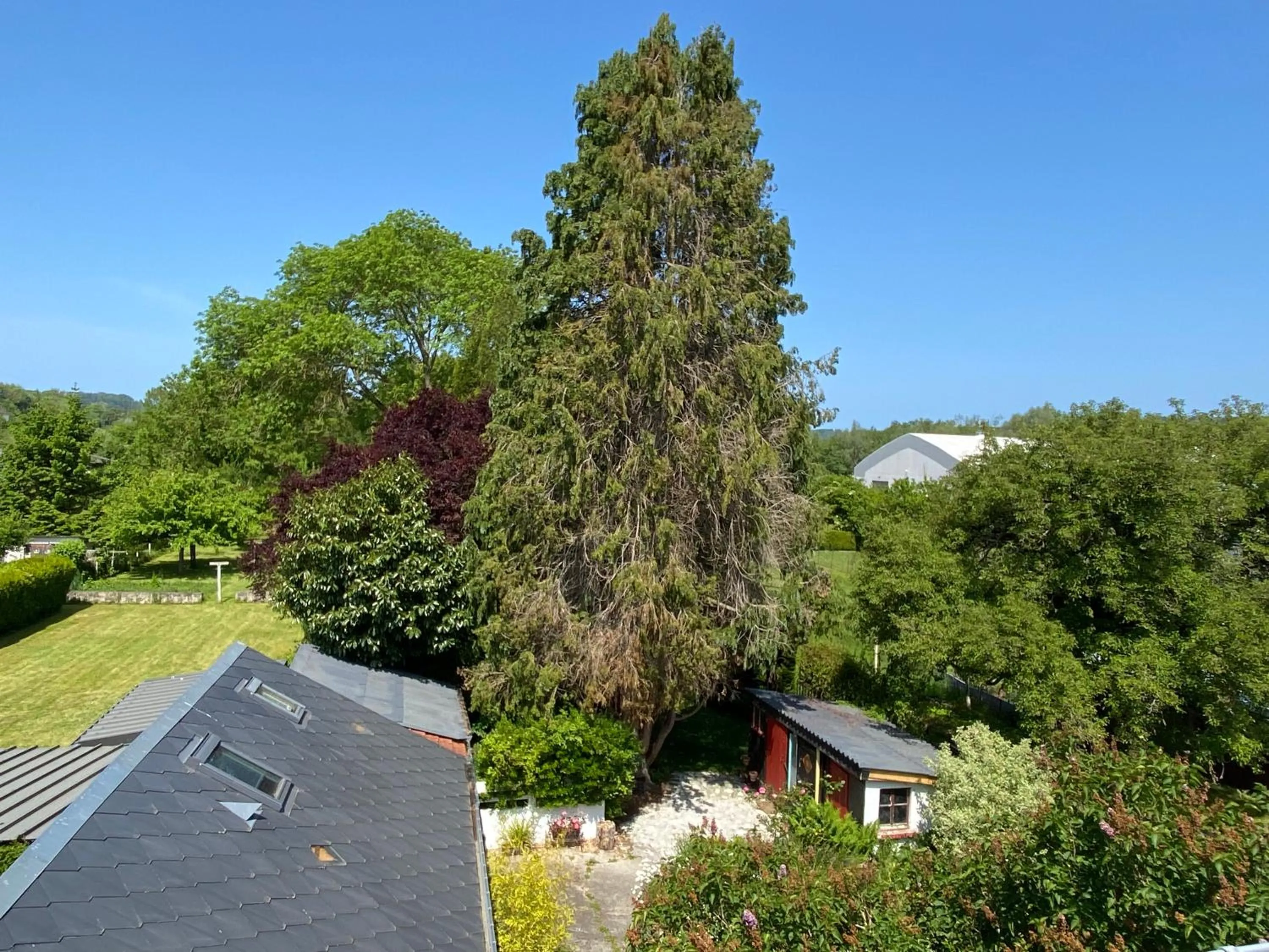 Spring in La Chambre Claire