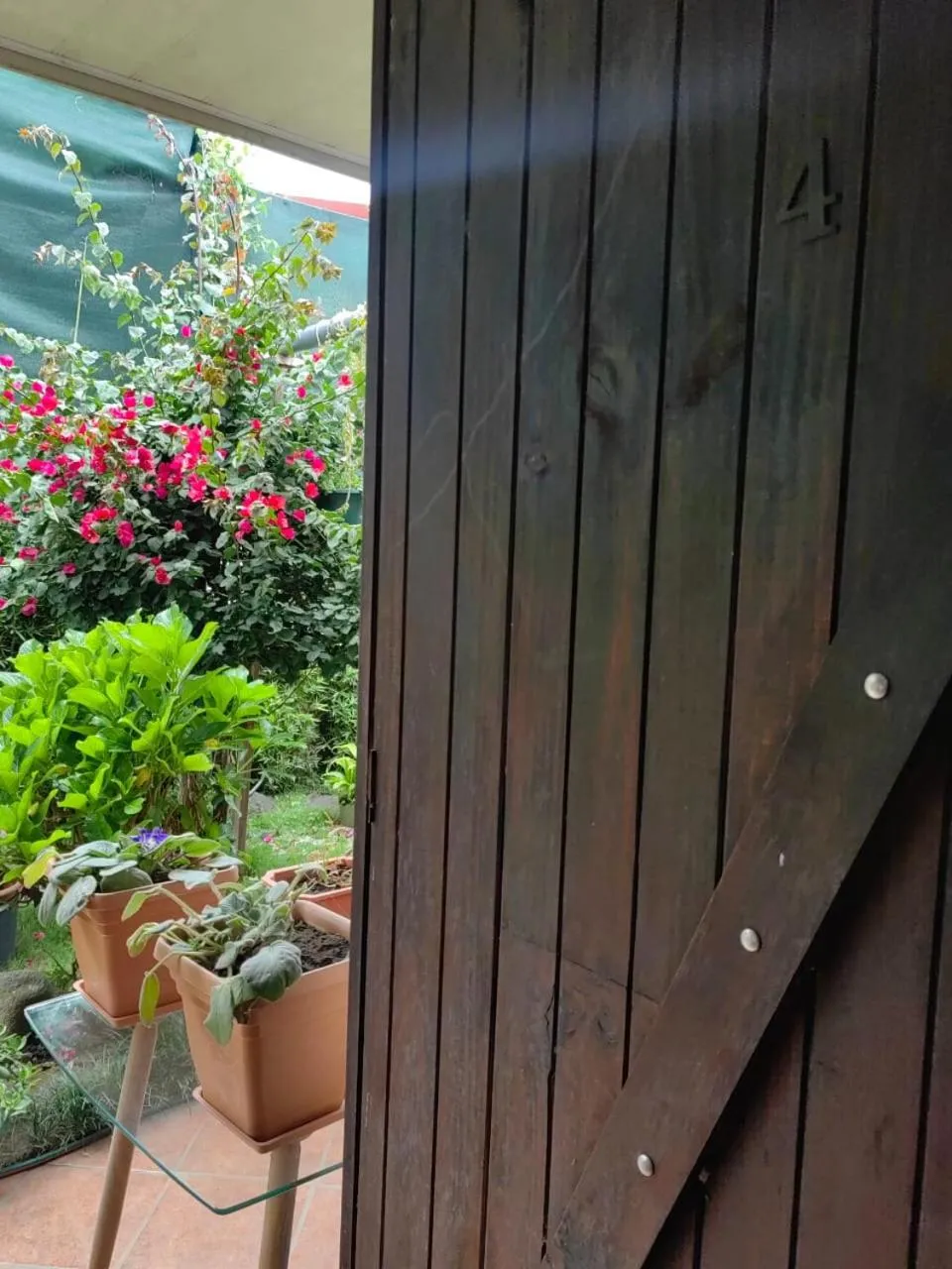 Patio in La Casa de Mamá Coyita