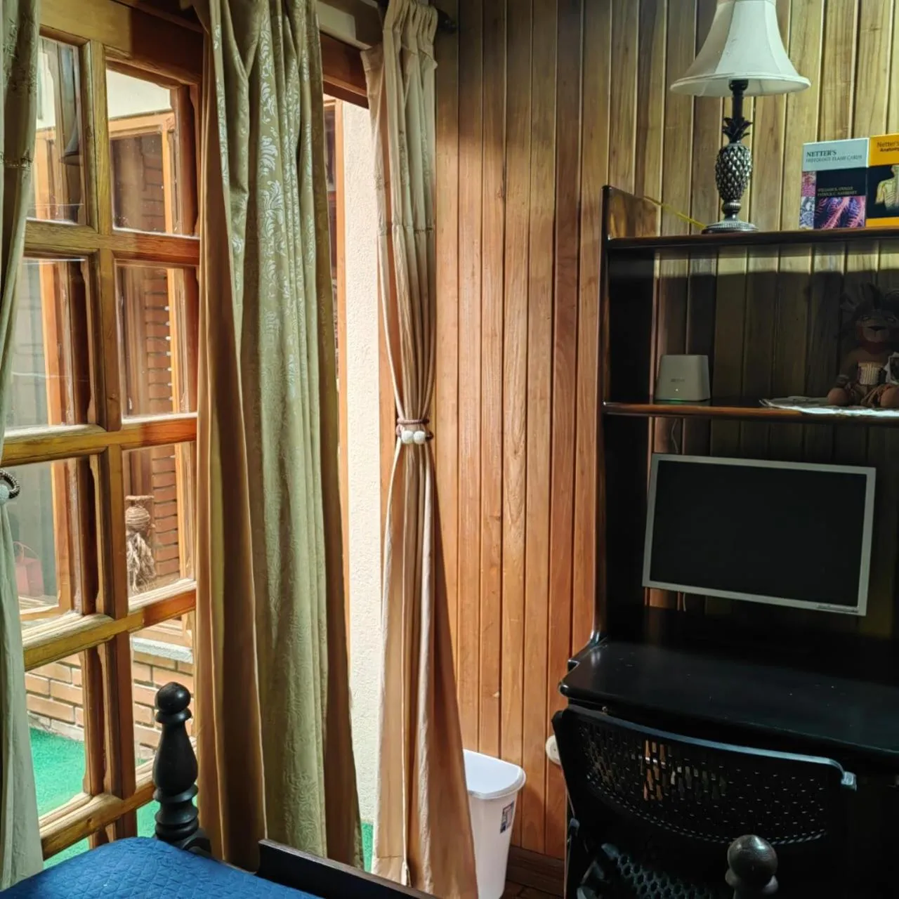 TV and multimedia in La Casa de Mamá Coyita