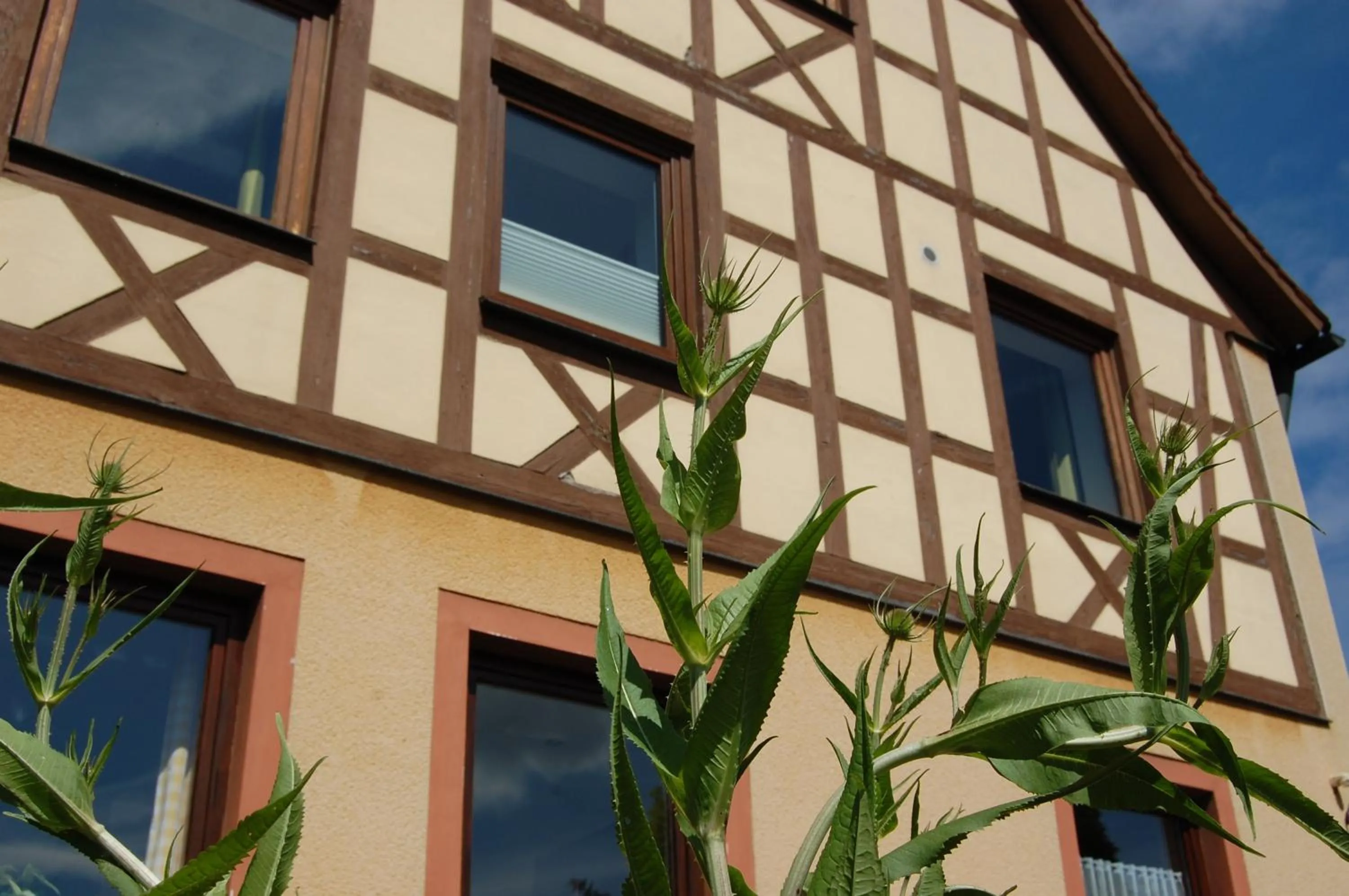 Facade/entrance in Gasthof Linden & Wildkräuterhotel