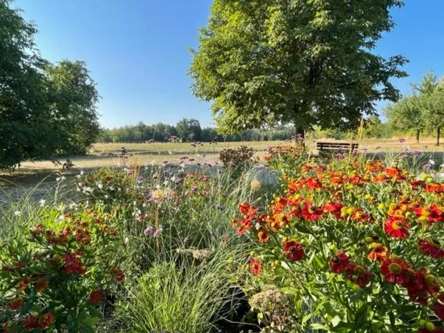 Natural landscape in Gasthof Linden & Wildkräuterhotel