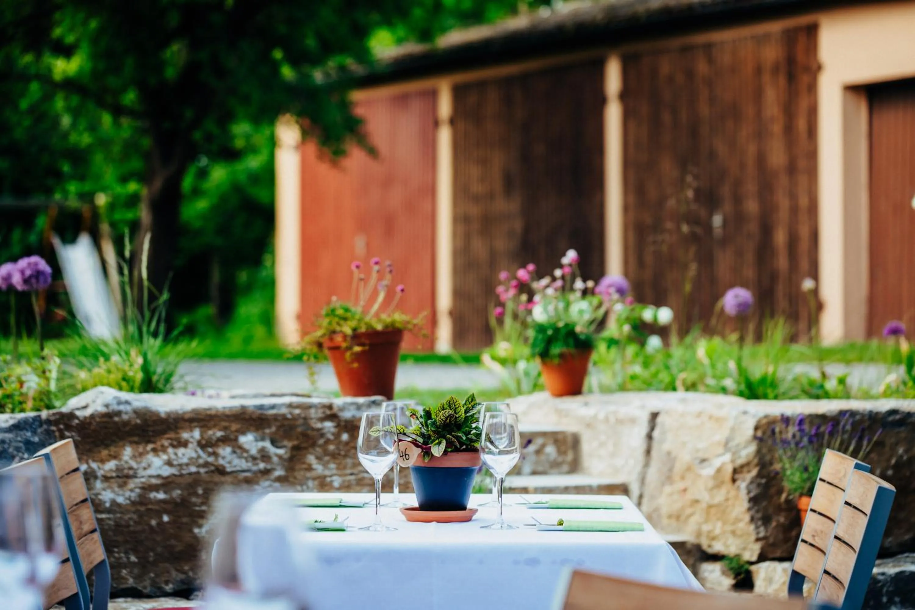 Restaurant/places to eat in Gasthof Linden & Wildkräuterhotel