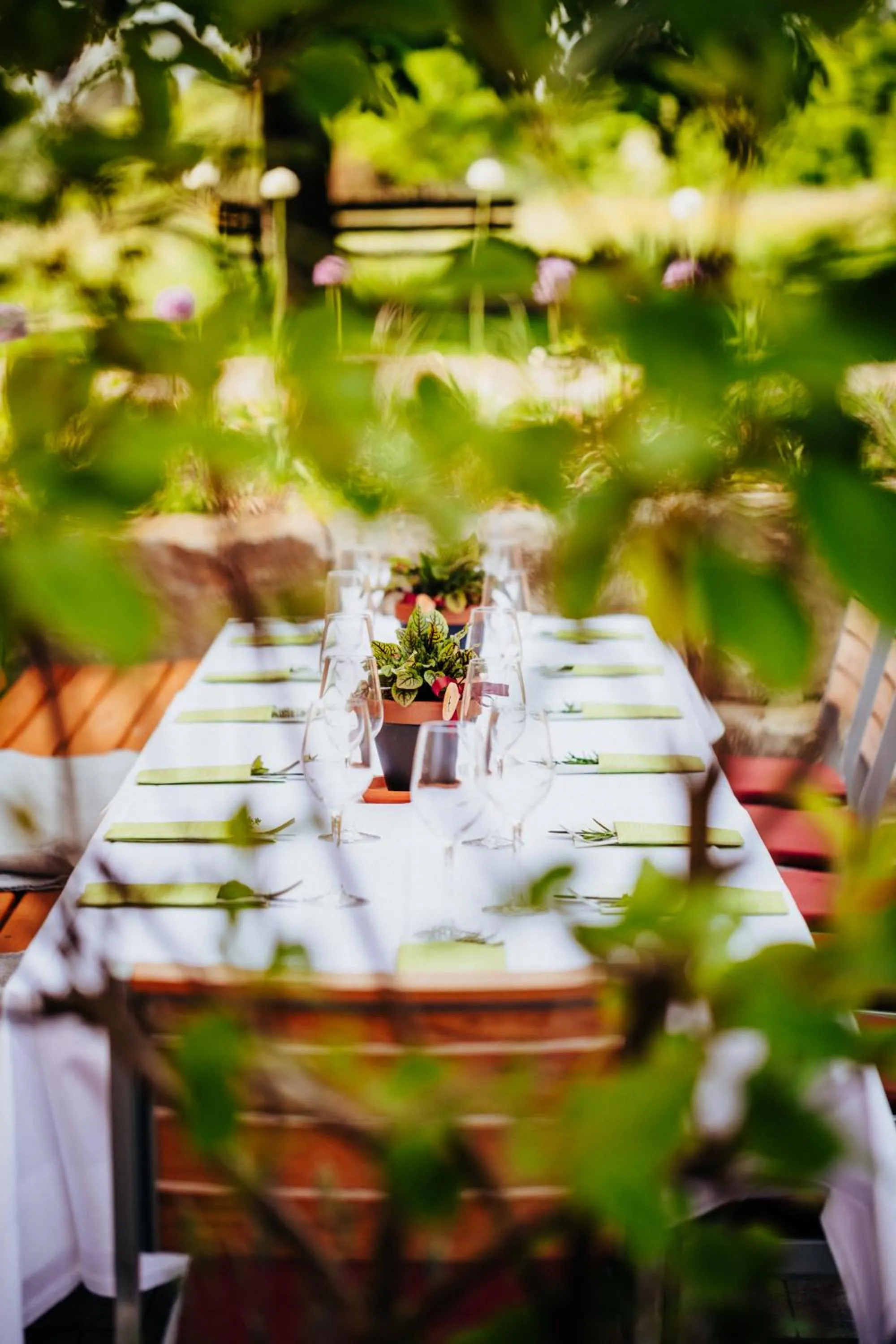 Restaurant/places to eat in Gasthof Linden & Wildkräuterhotel
