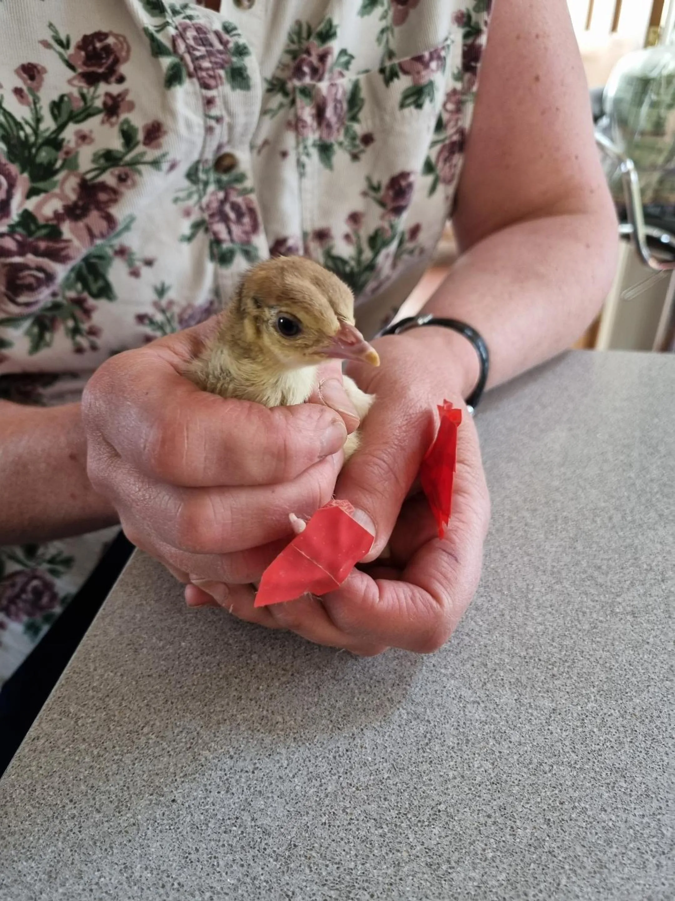 Natural landscape in Eco Indigo