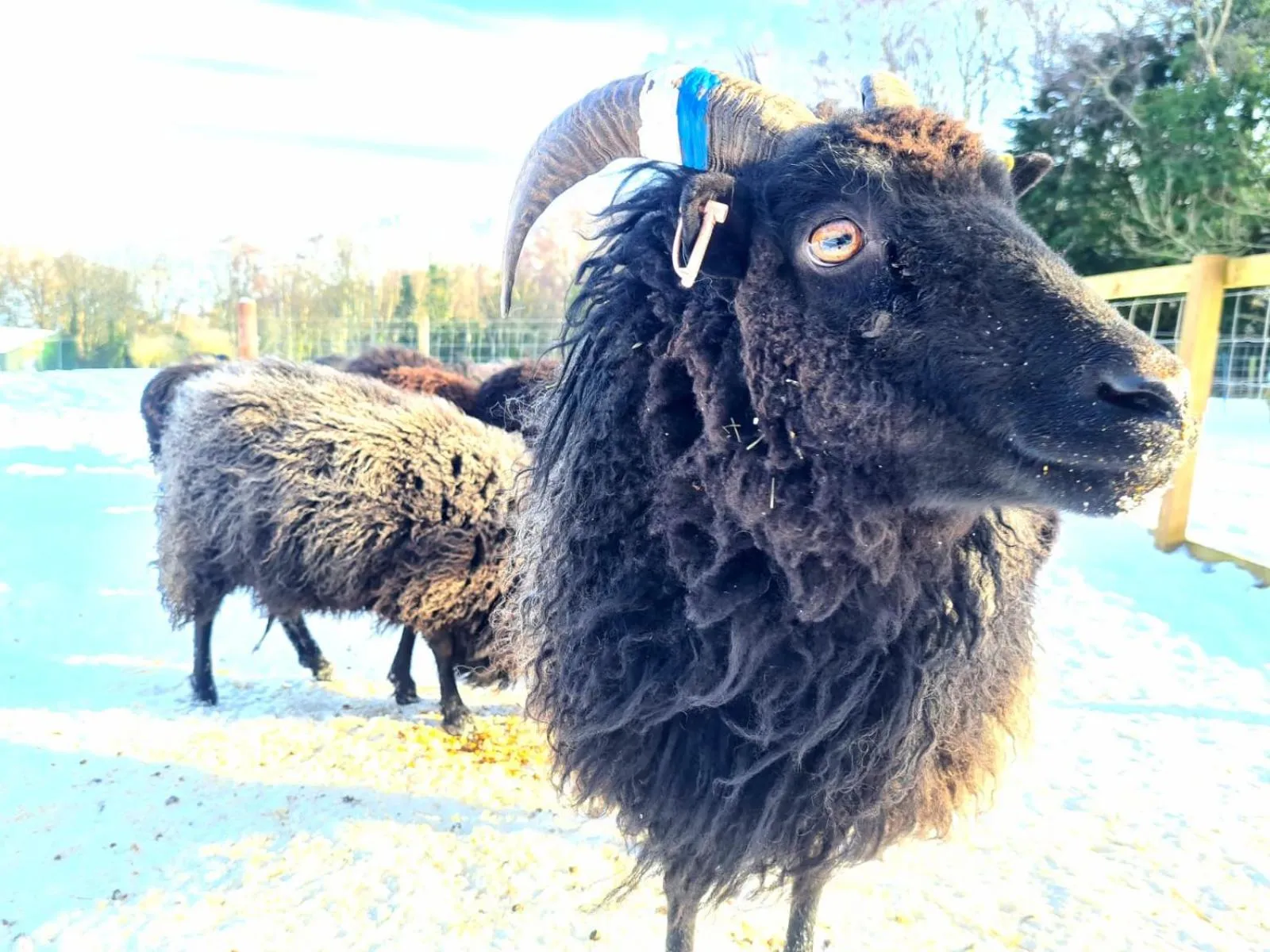 Natural landscape in Eco Indigo