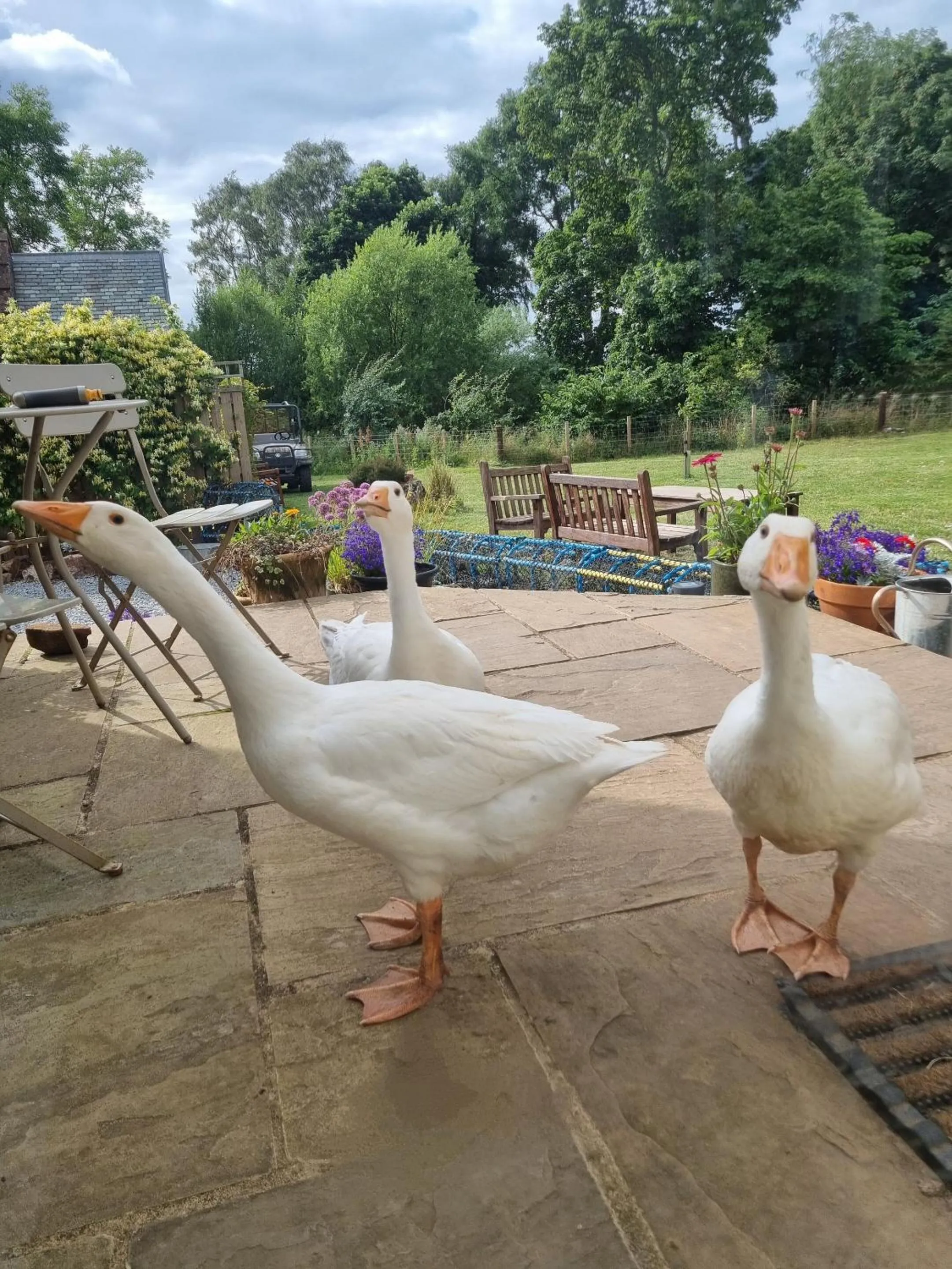 Natural landscape in Eco Indigo