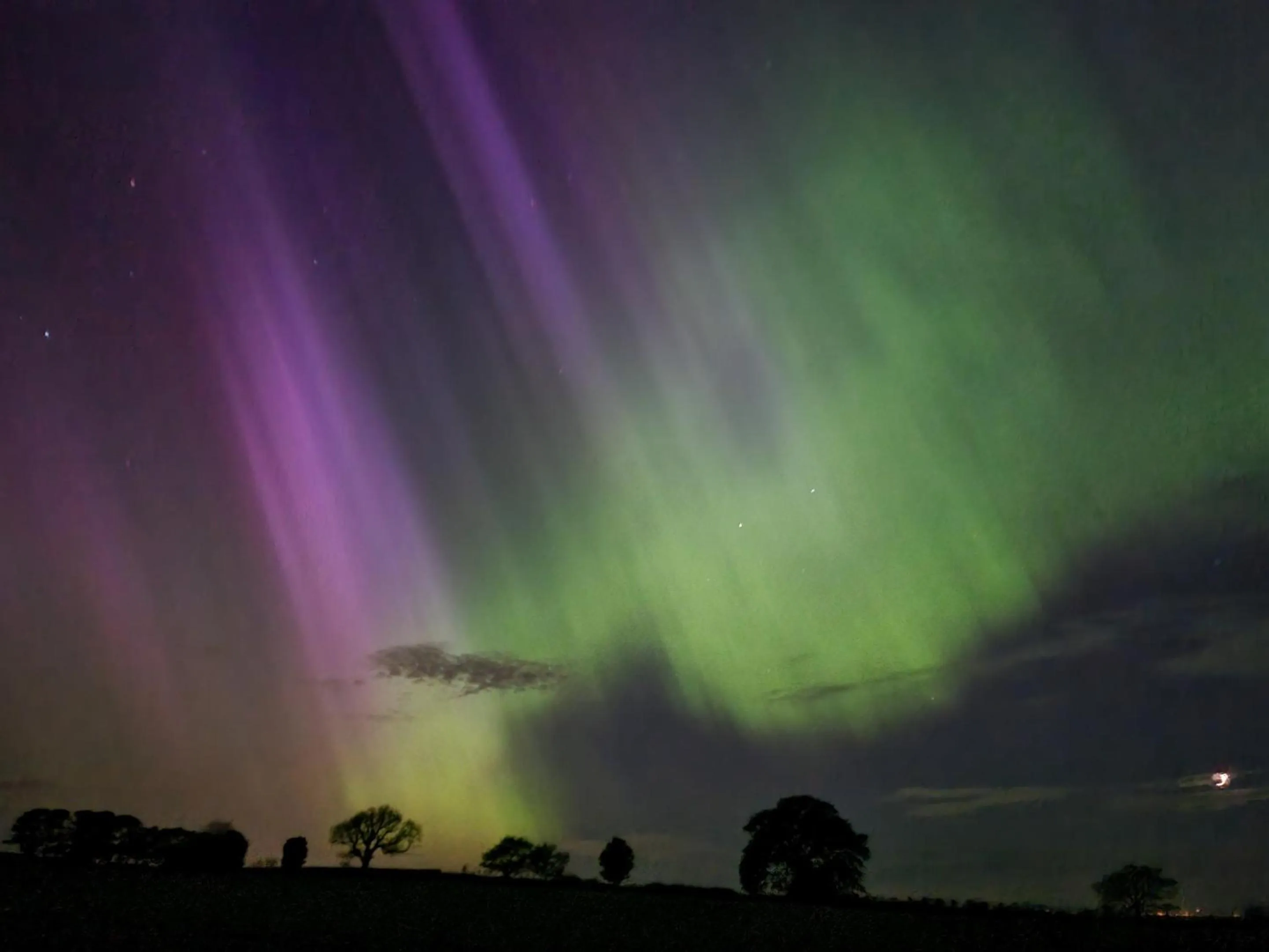 Property building in Eco Indigo