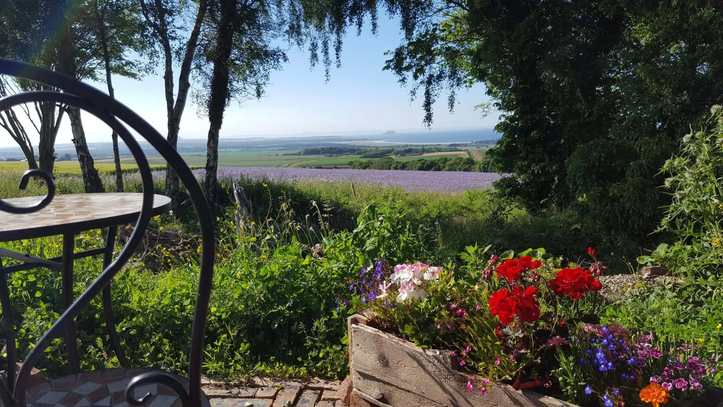 View (from property/room) in Eco Indigo View (from property/room) in Eco Indigo