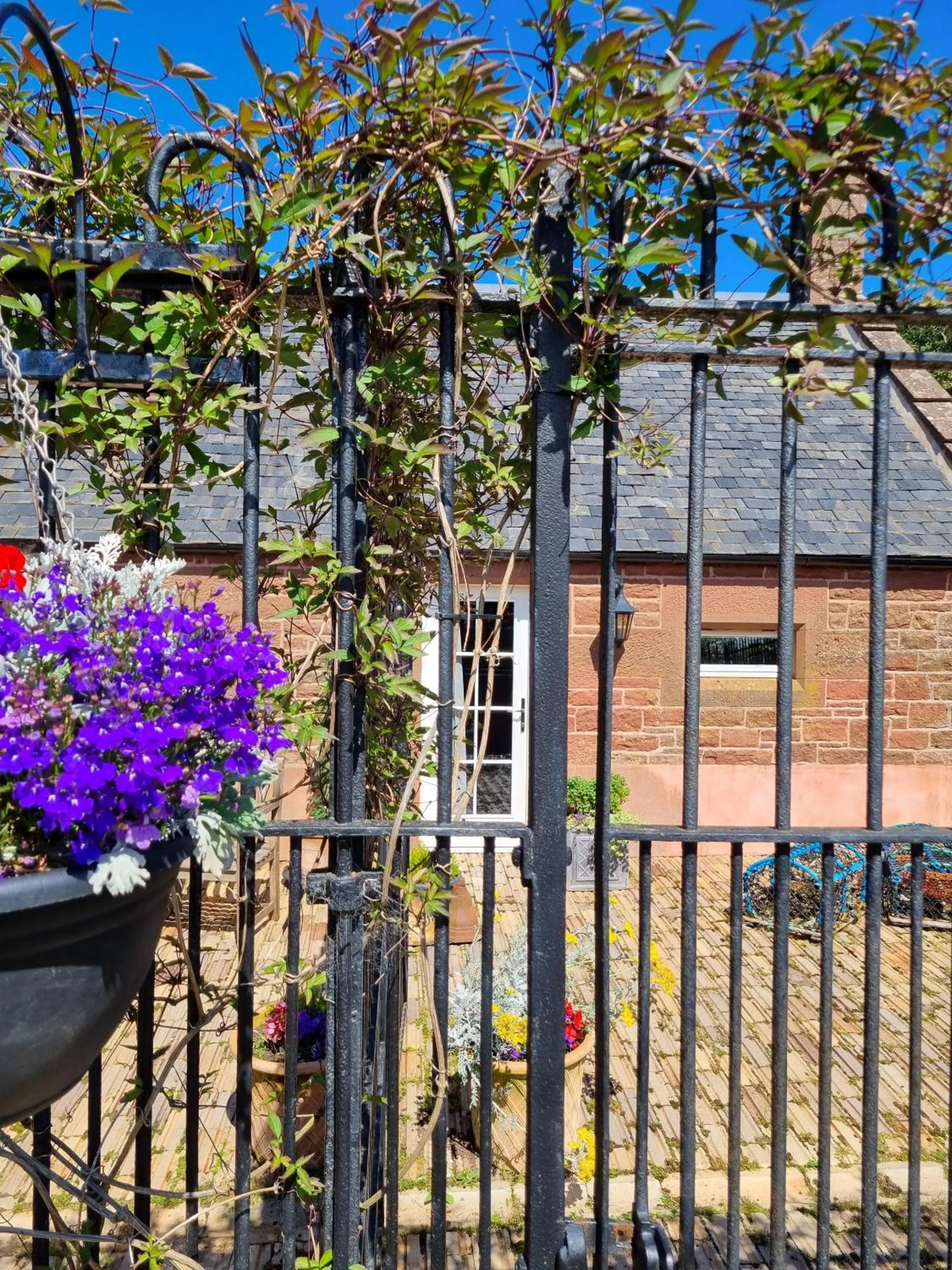 Garden in Eco Indigo