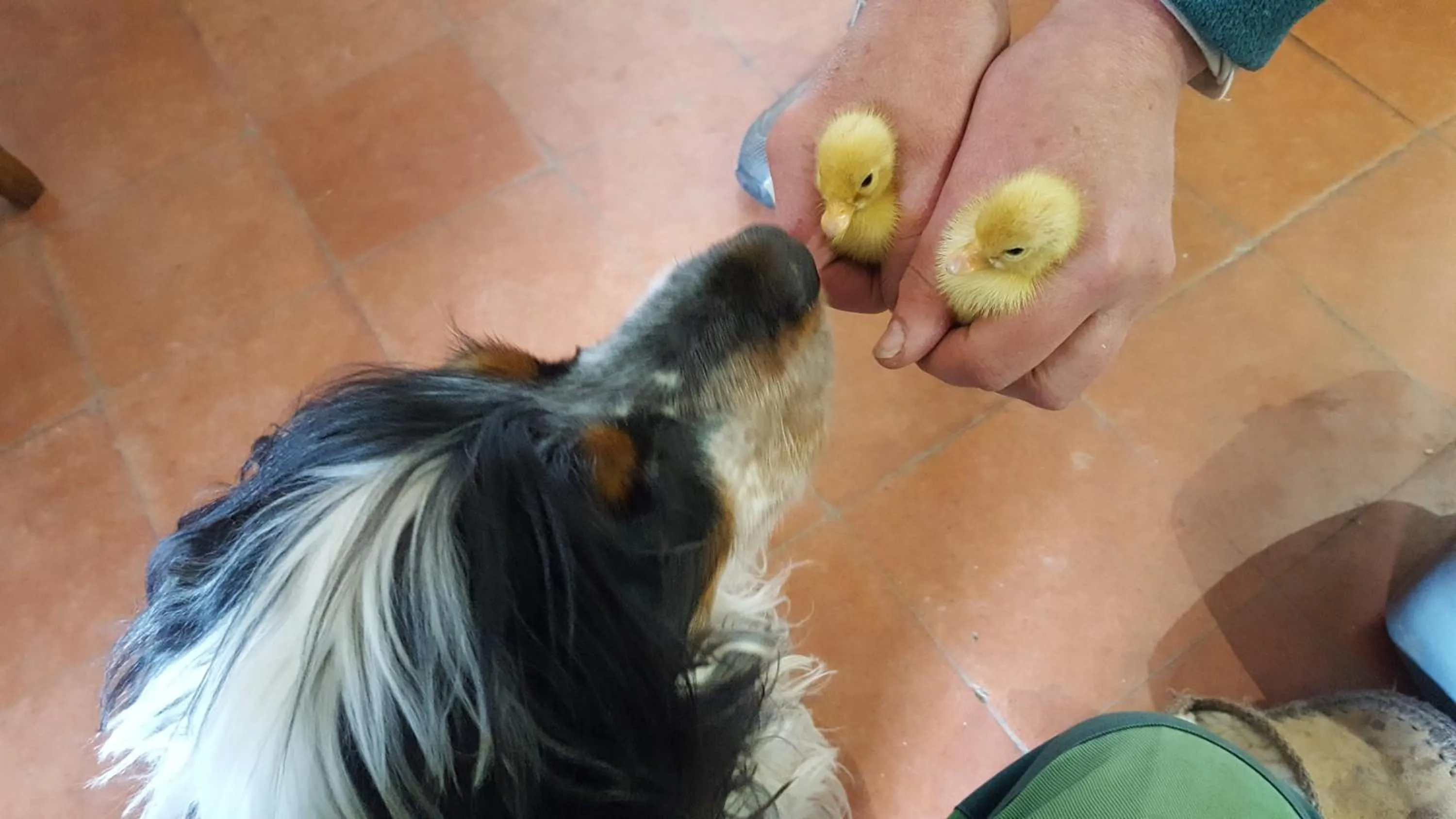 Natural landscape in Eco Indigo