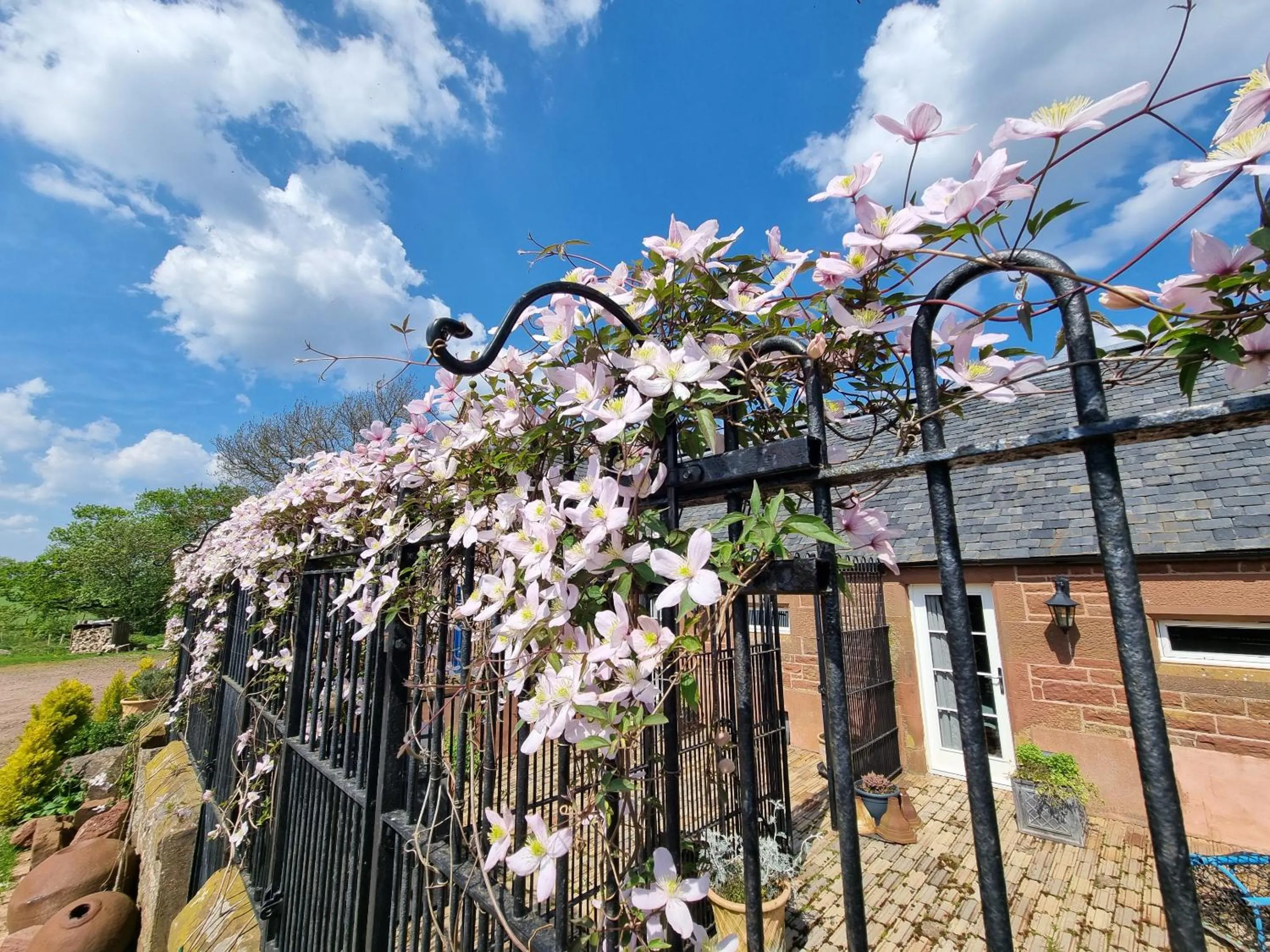 Garden in Eco Indigo