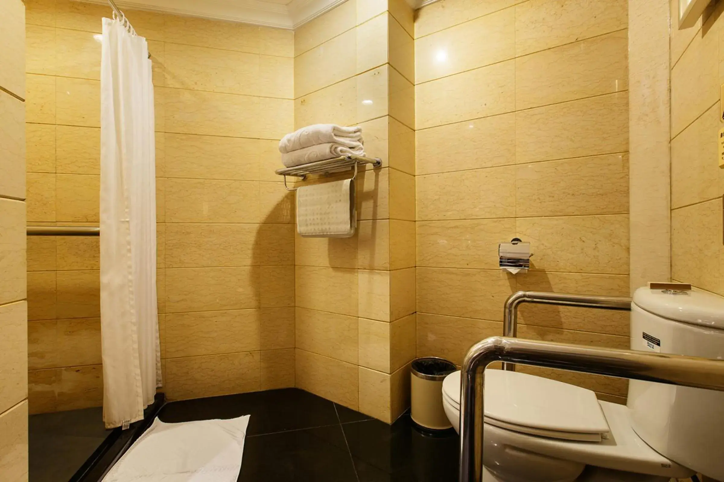 Toilet, Bathroom in Grand Royal Hotel