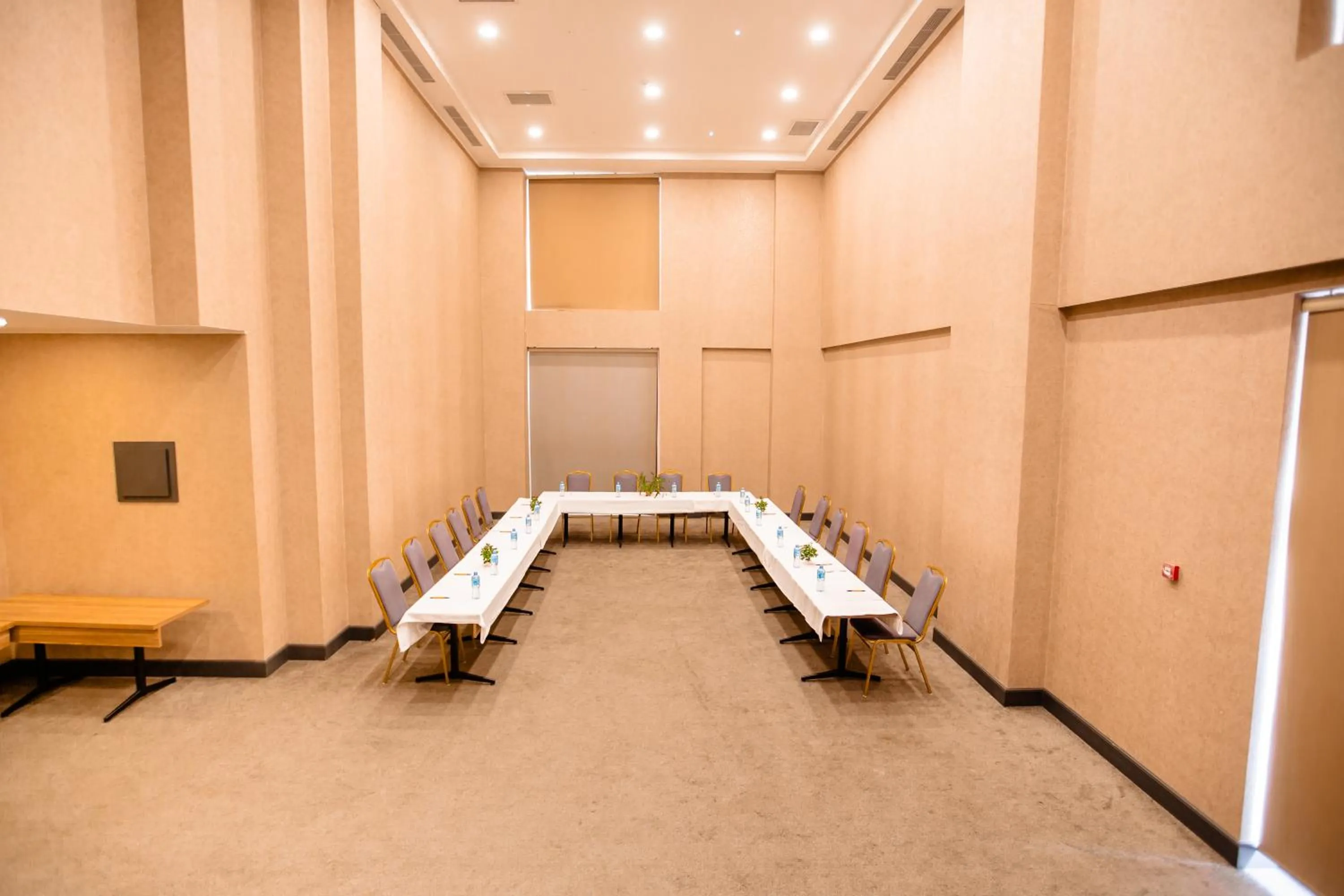 Meeting/conference room in Premium Park Hotel