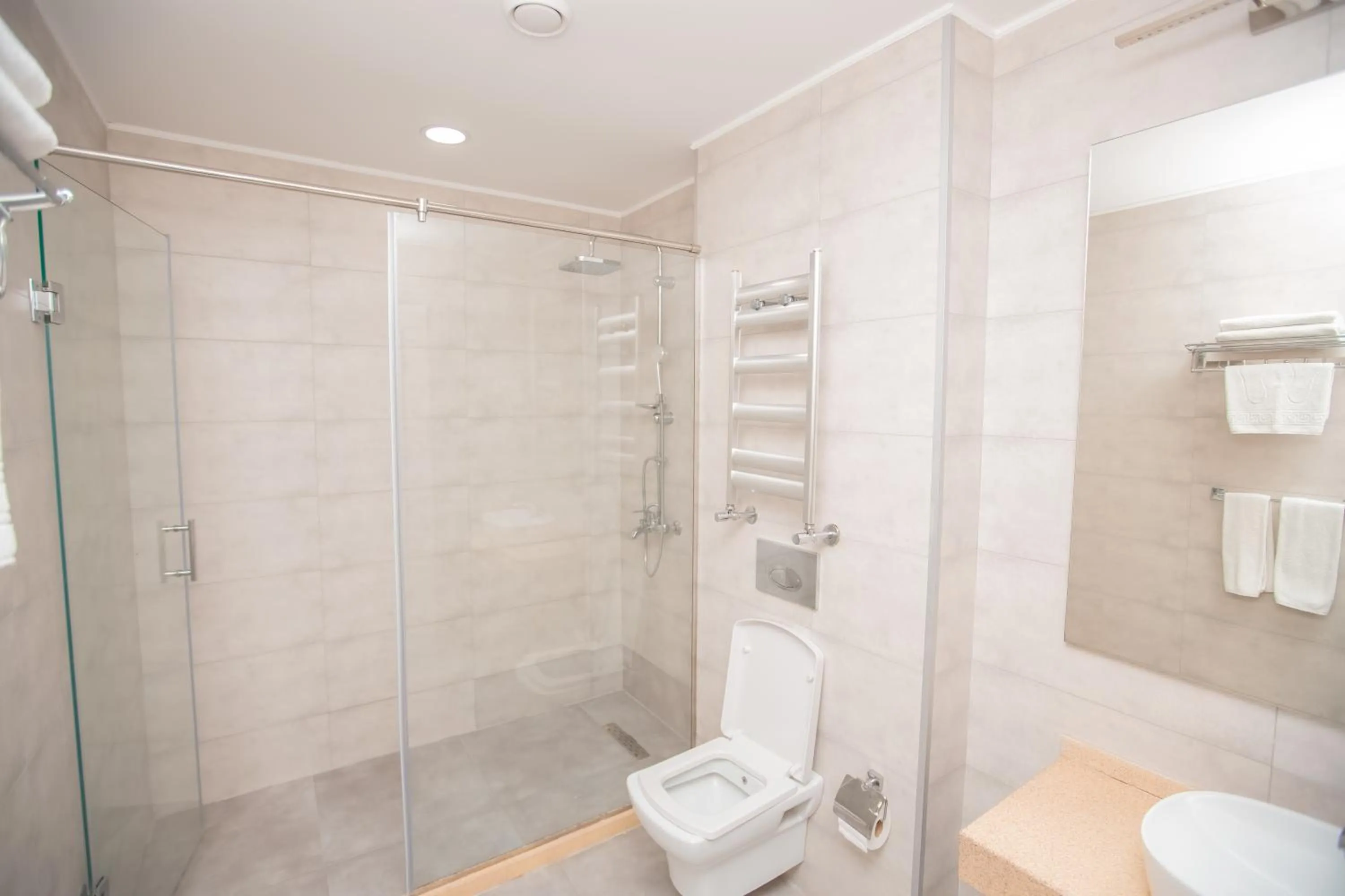 Shower in Premium Park Hotel