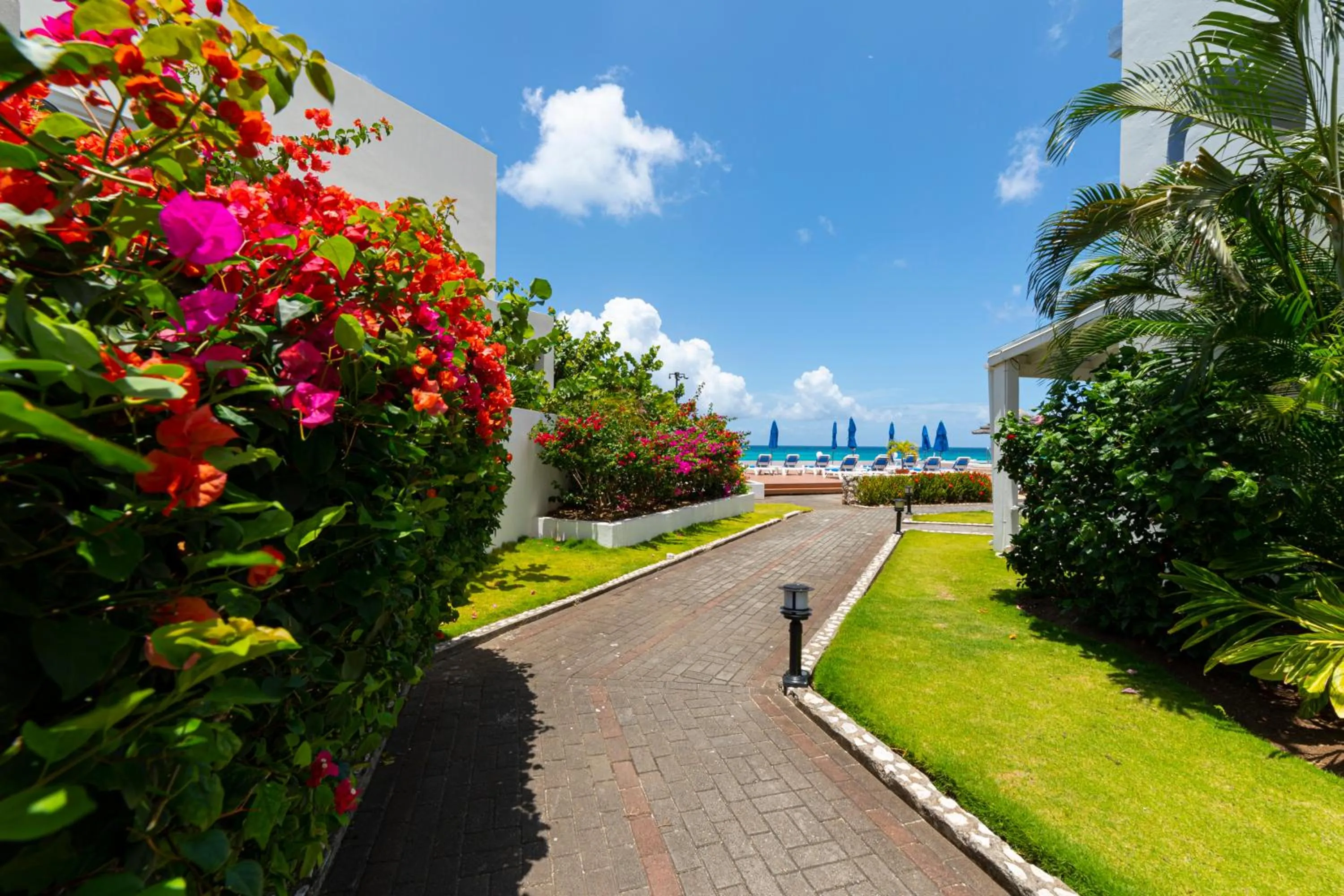 Garden in La Vista Resort