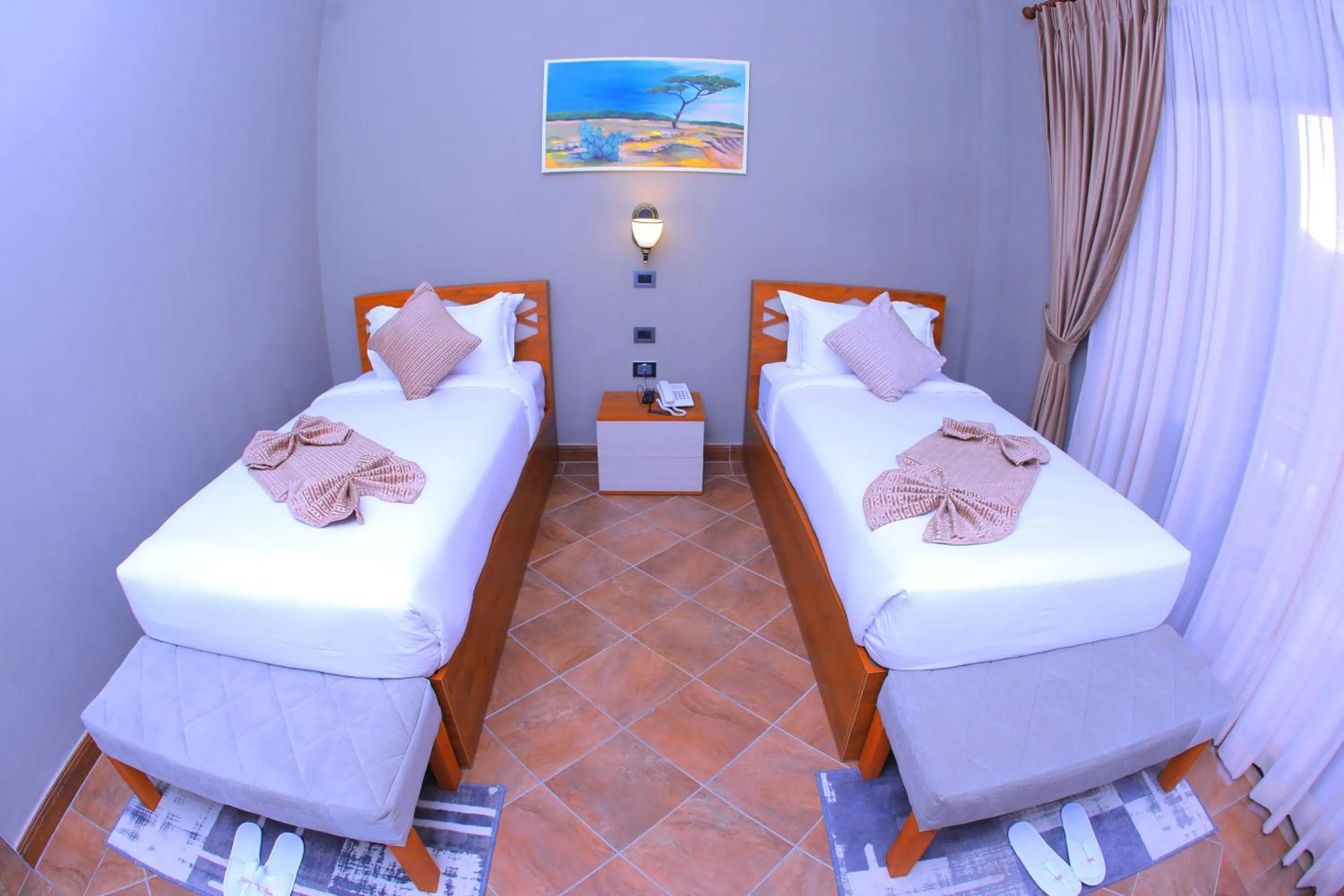 Standard Twin Room in Haile Resort Adama